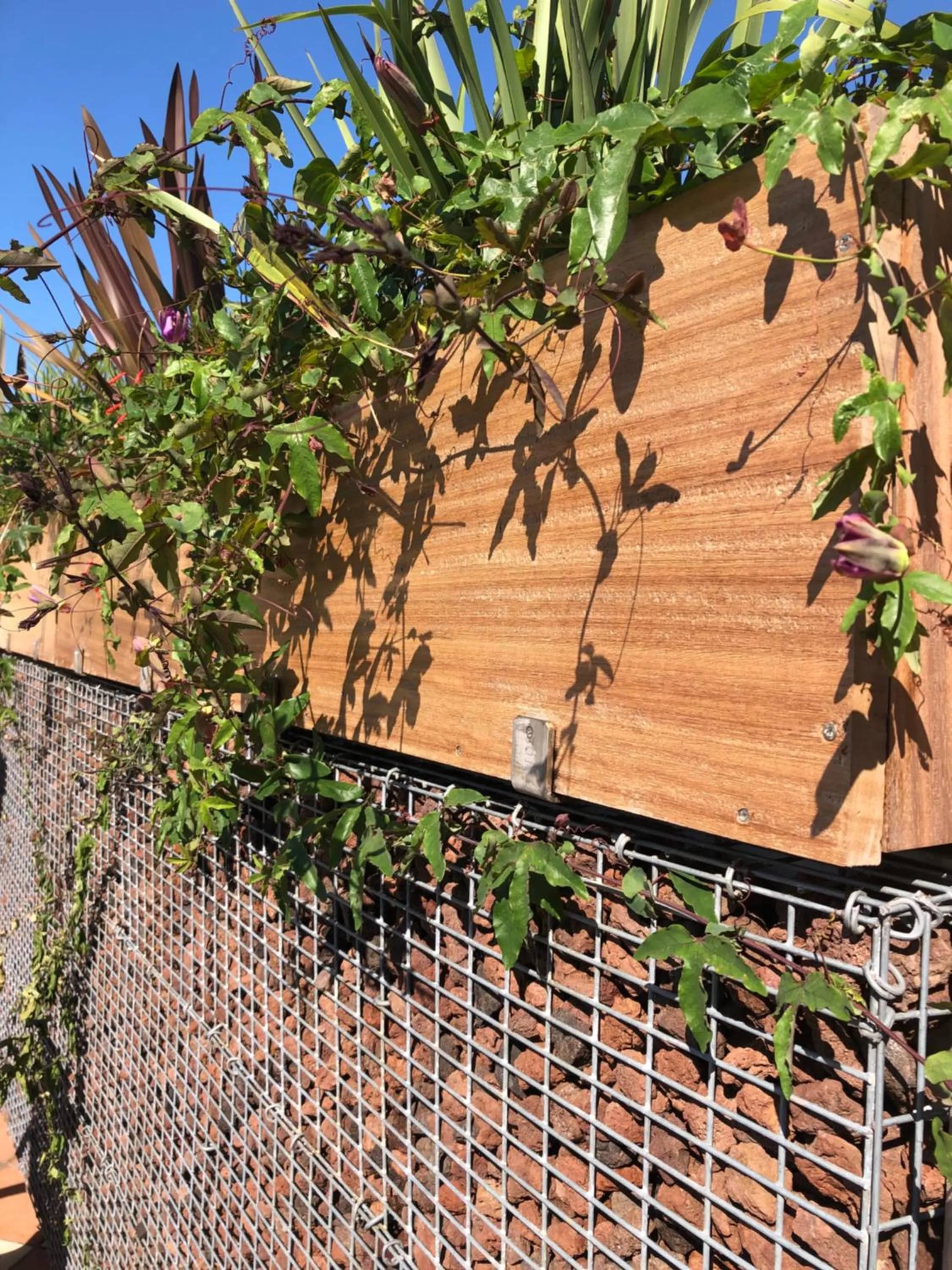 Balcony/Terrace in Hotel Astoria Park