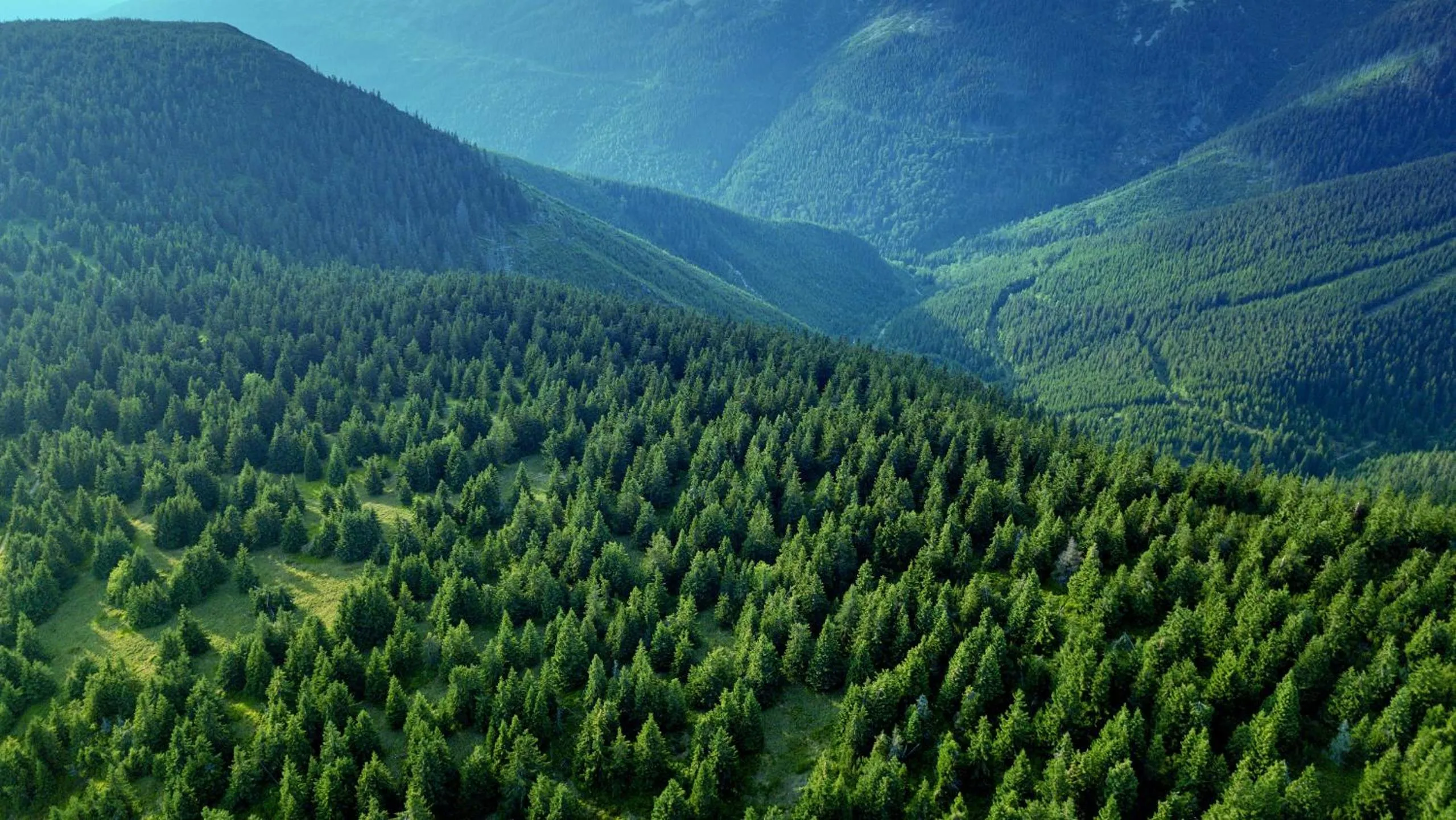 Property building in Bouda Klínovka
