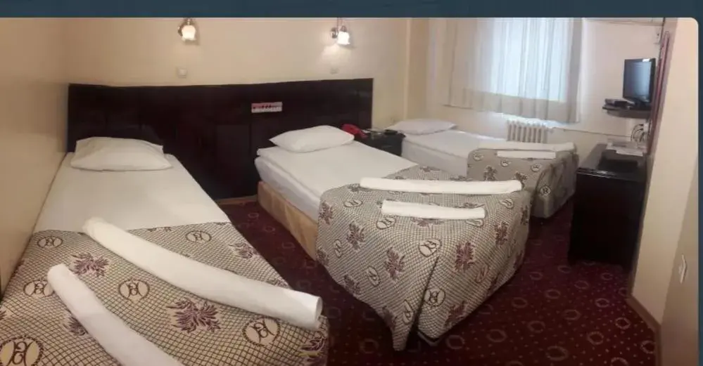 Standard Triple Room - single occupancy in SPOR HOTEL Standard Triple Room - single occupancy in SPOR HOTEL