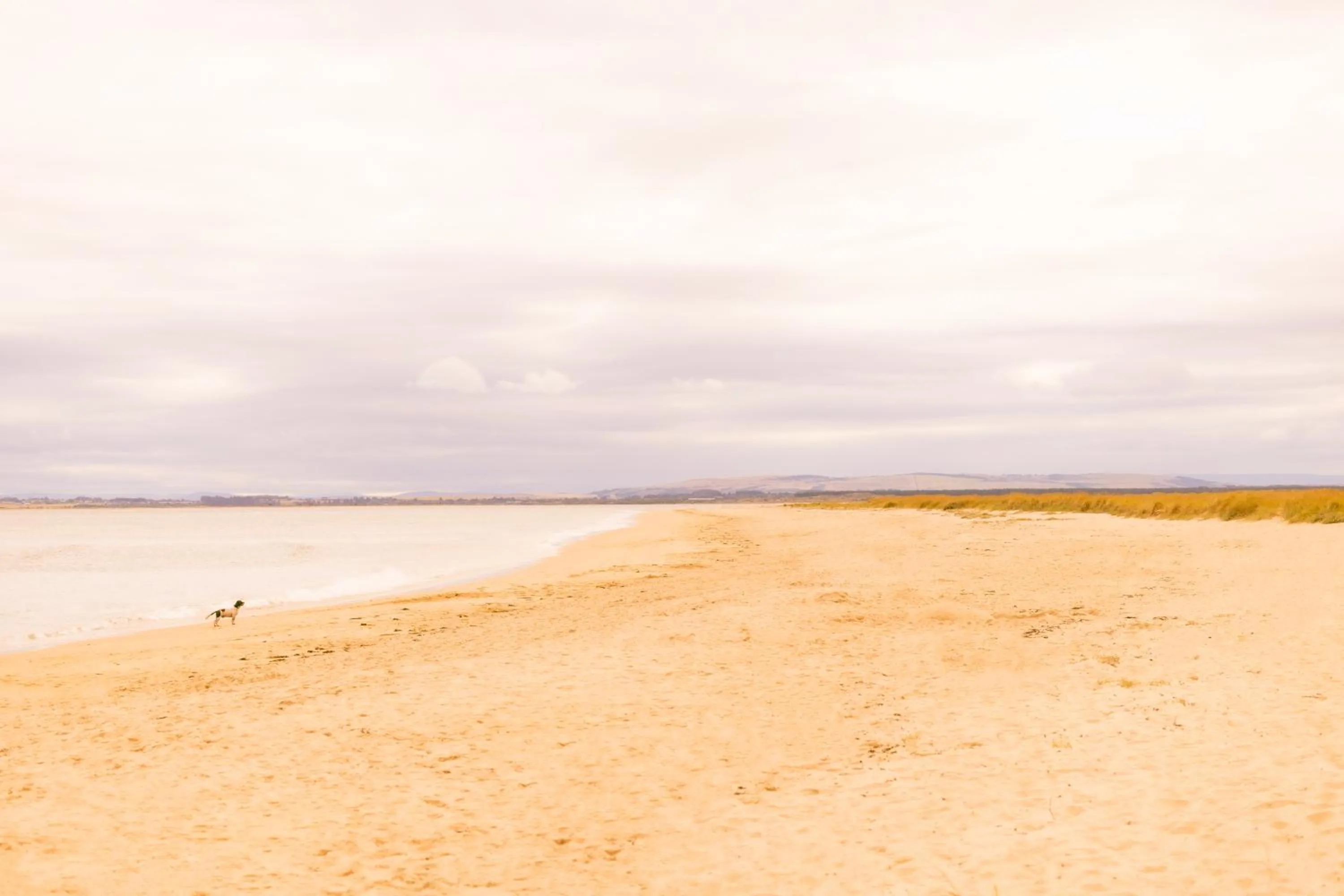 Beach in Dornoch Station