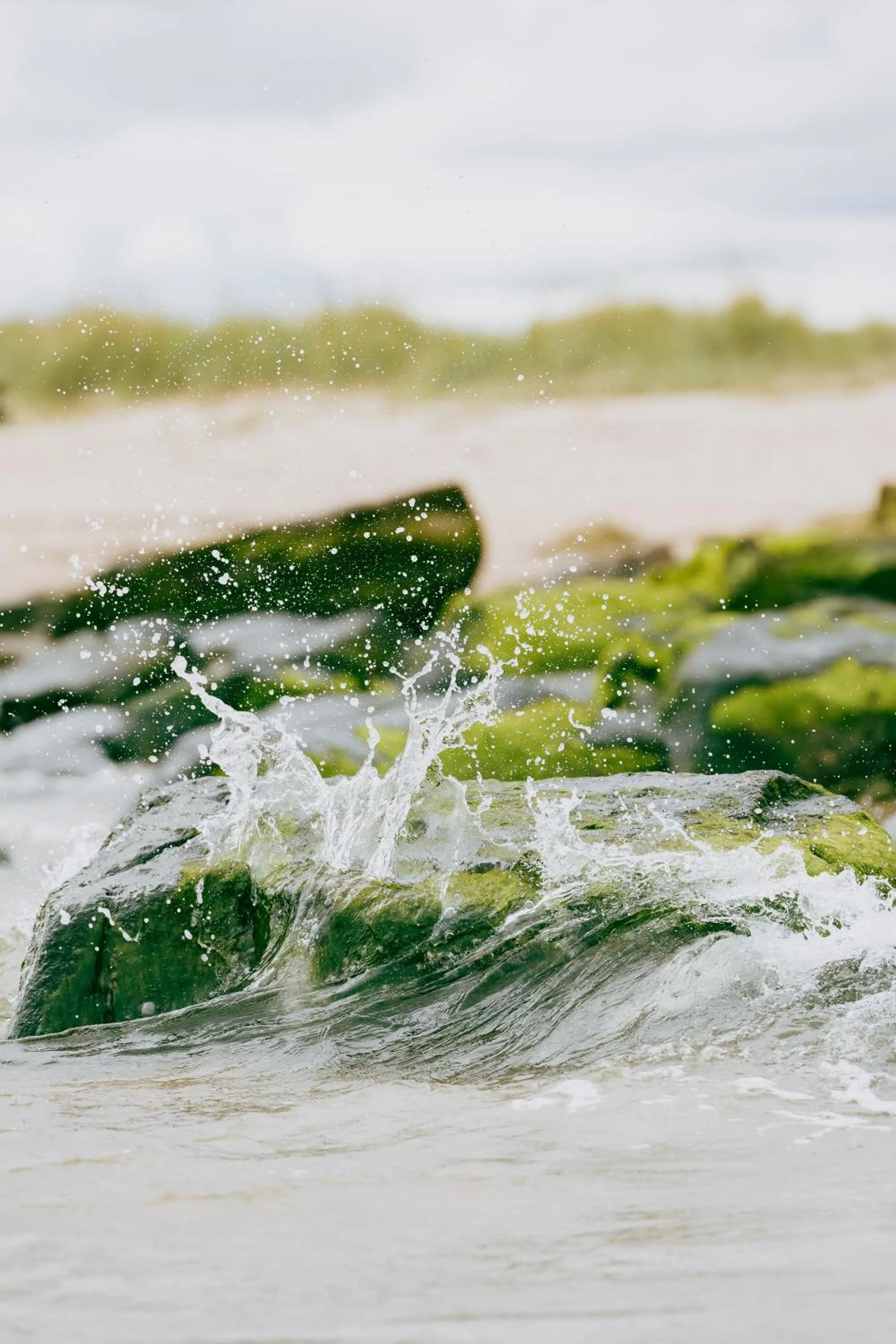 Natural landscape in Dornoch Station