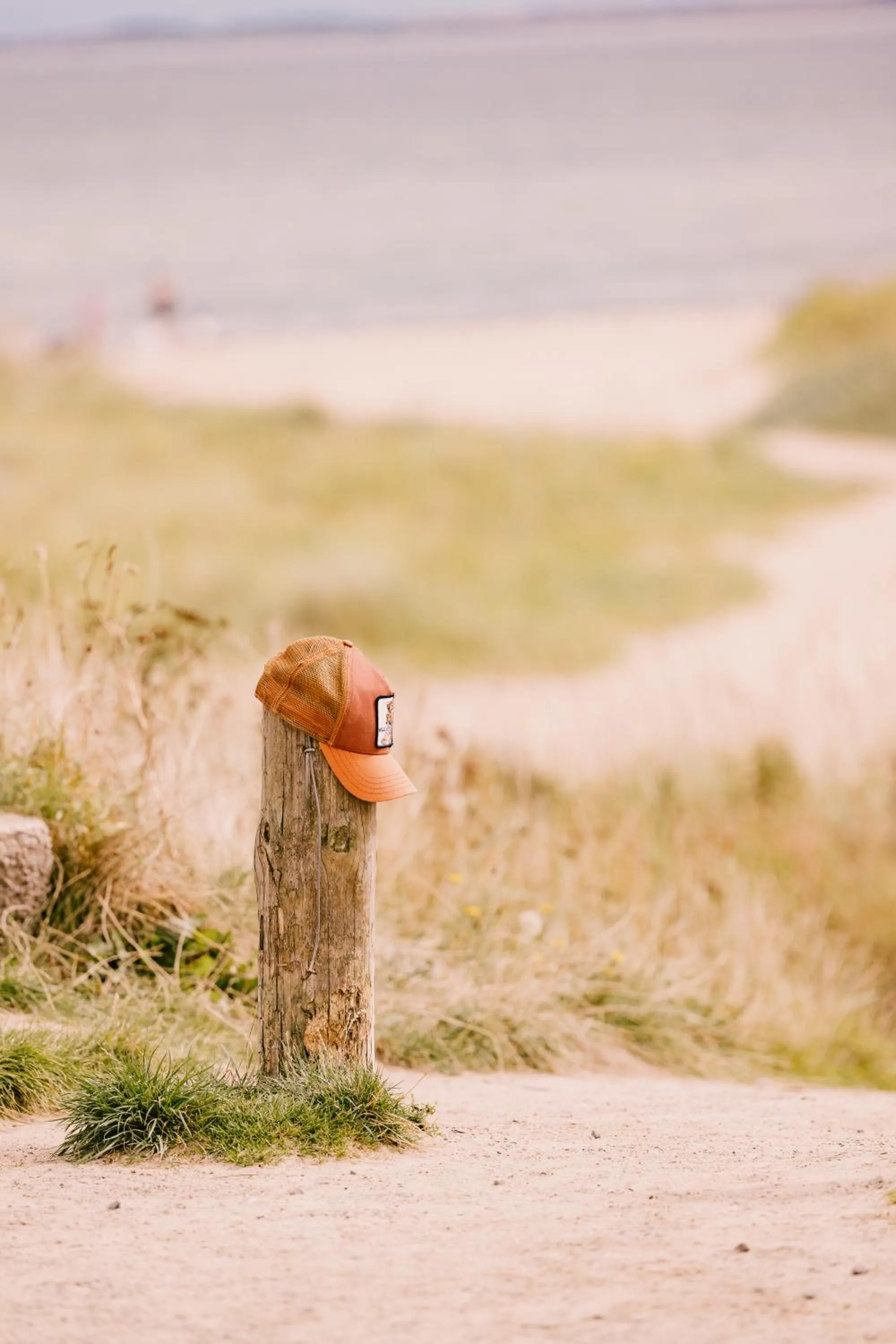 Natural landscape in Dornoch Station