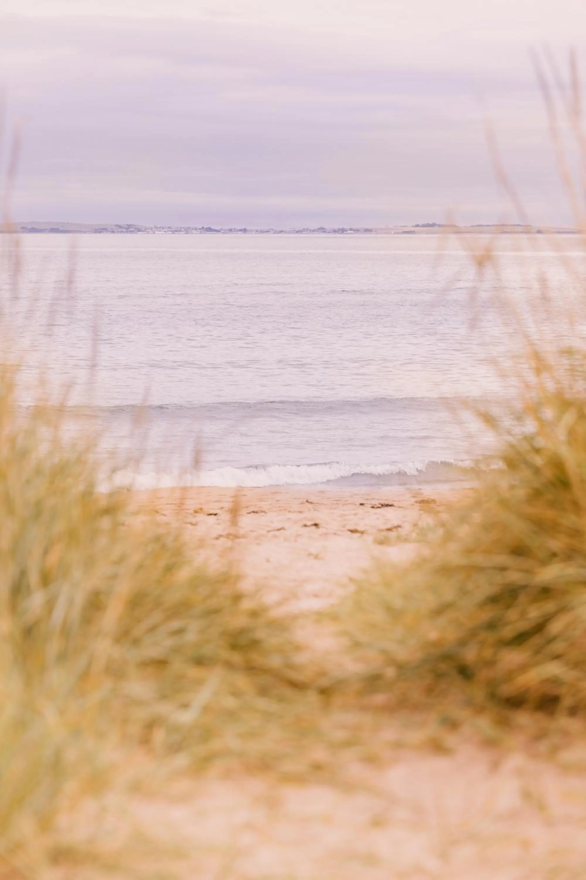 Natural landscape in Dornoch Station