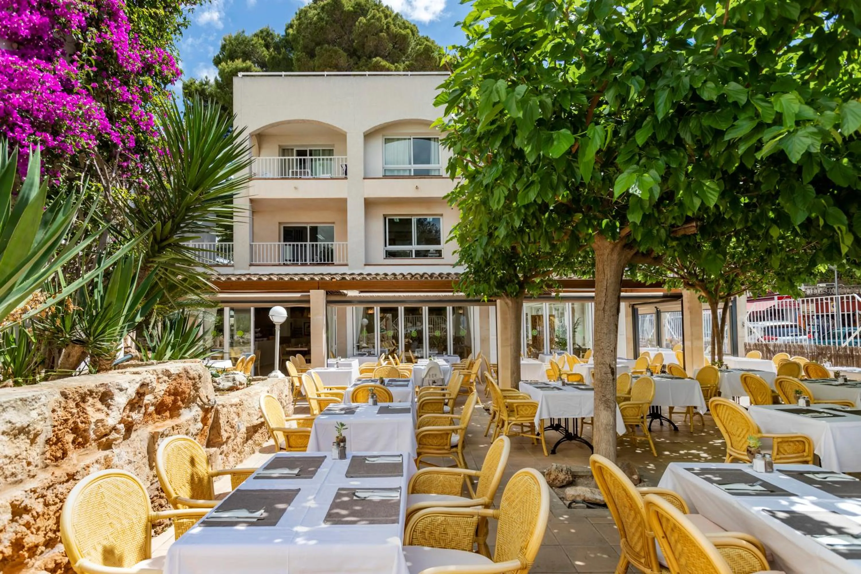 Garden in Houm Plaza Son Rigo