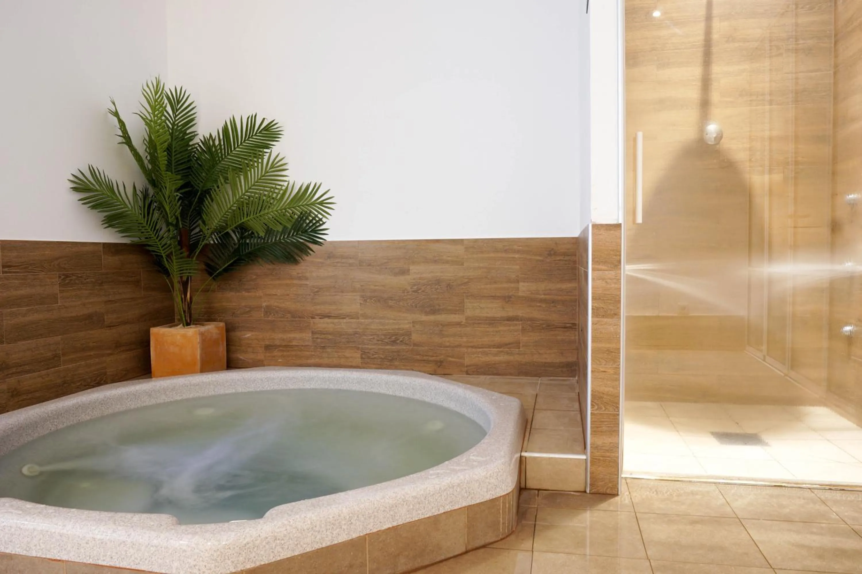 Hot Tub in Houm Plaza Son Rigo