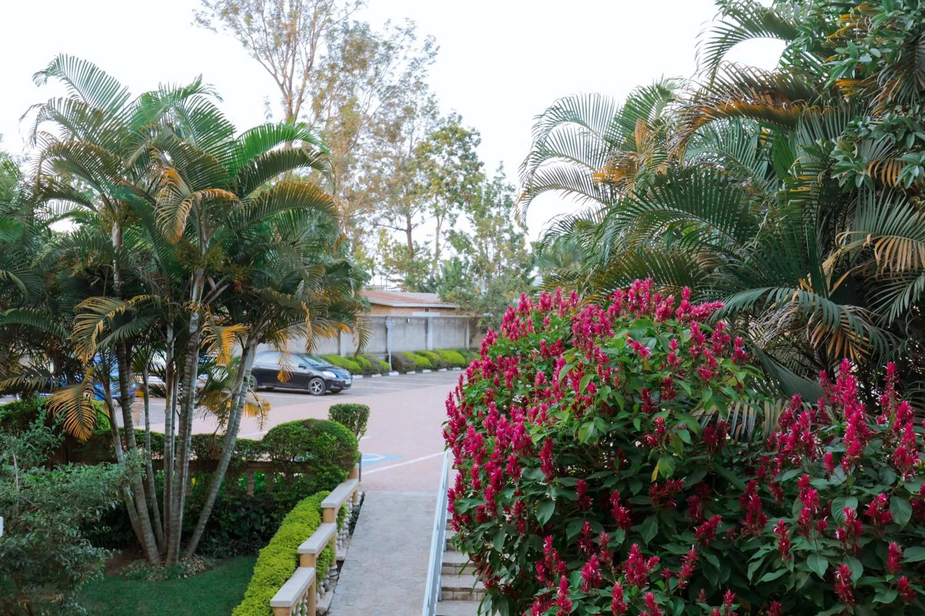 Property building in KAMI LUXURY APARTMENTS