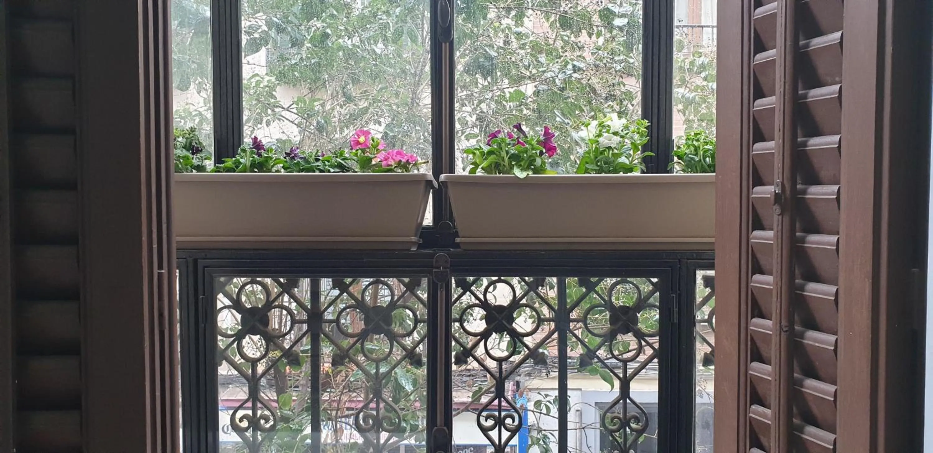 Balcony/Terrace in Hostal Las Fuentes