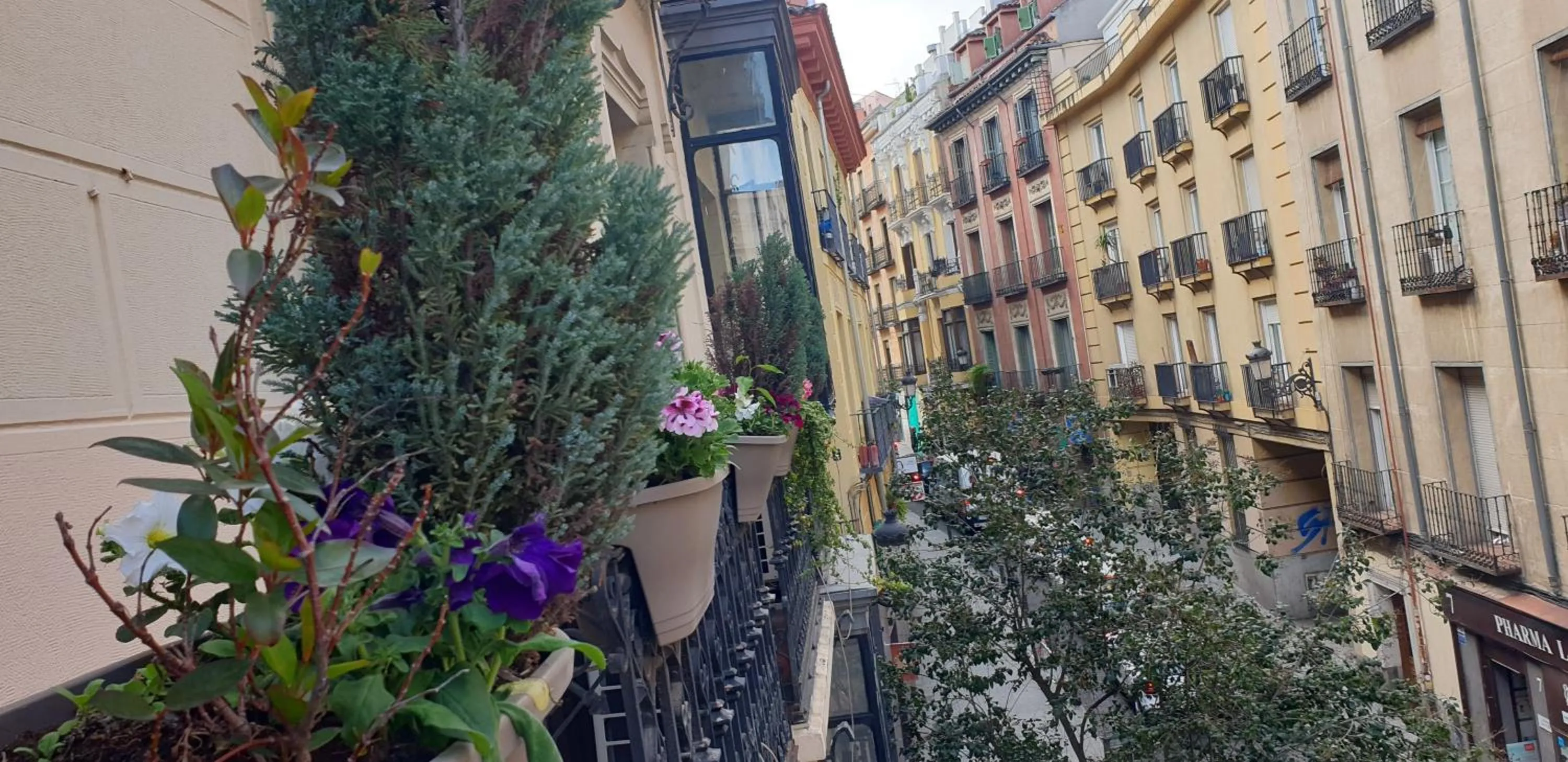 City view in Hostal Las Fuentes