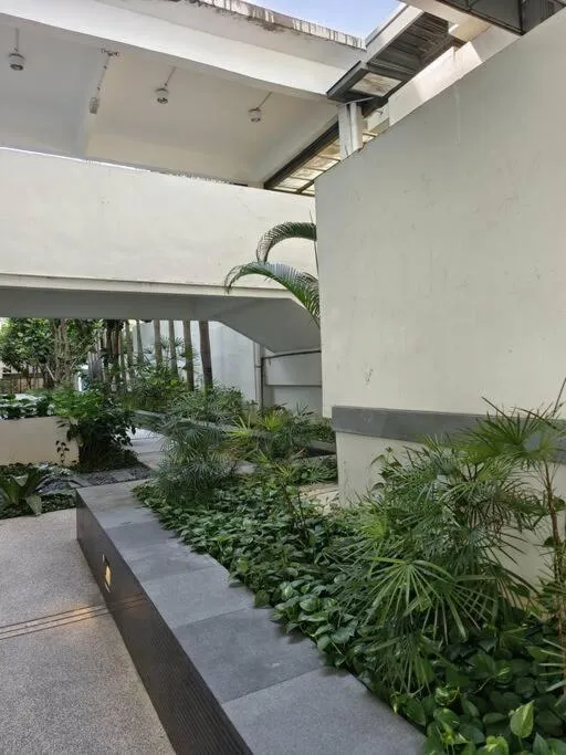 Garden in Rasa Sayang at The Loft Imago