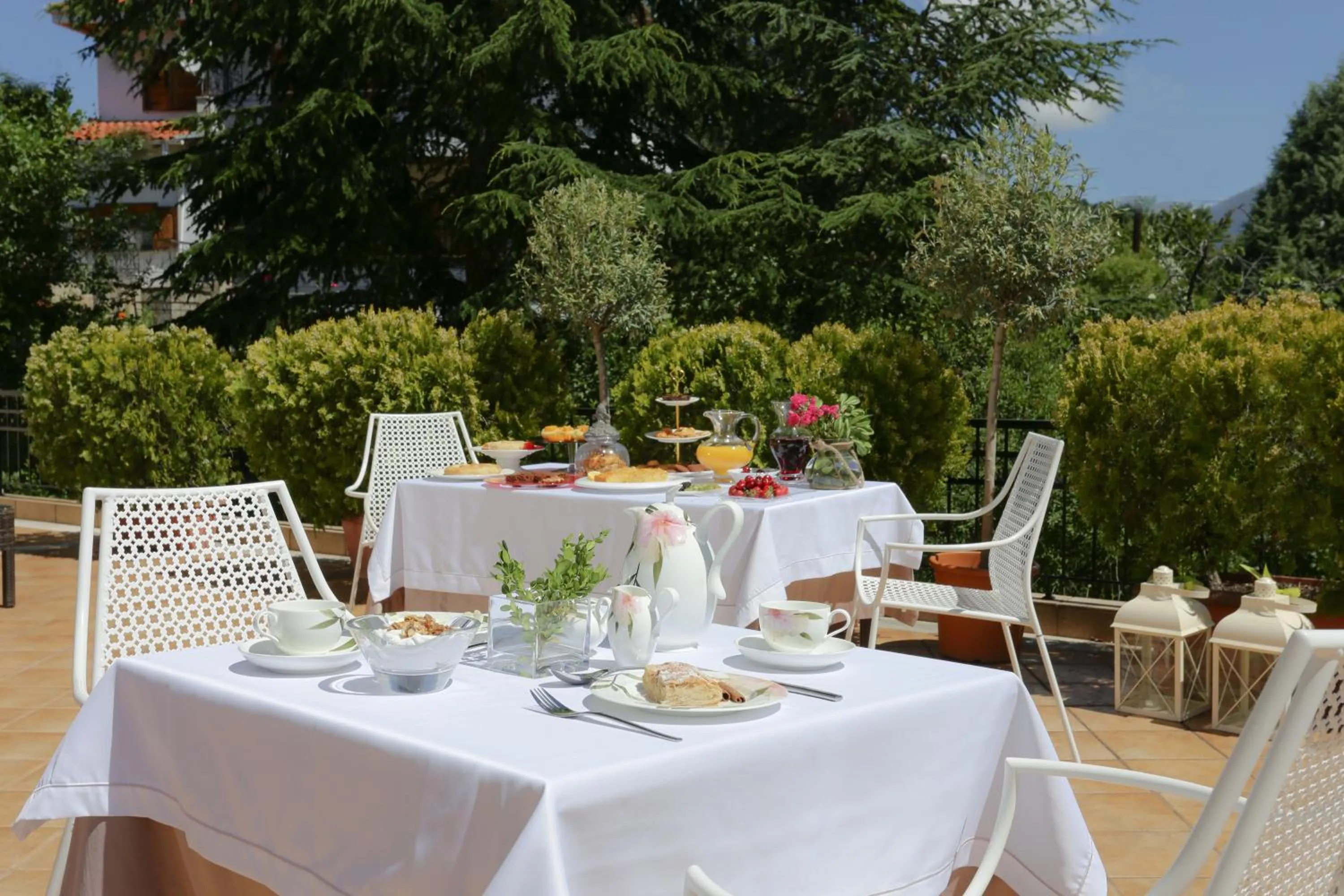 Garden in Chloe Luxury Hotel