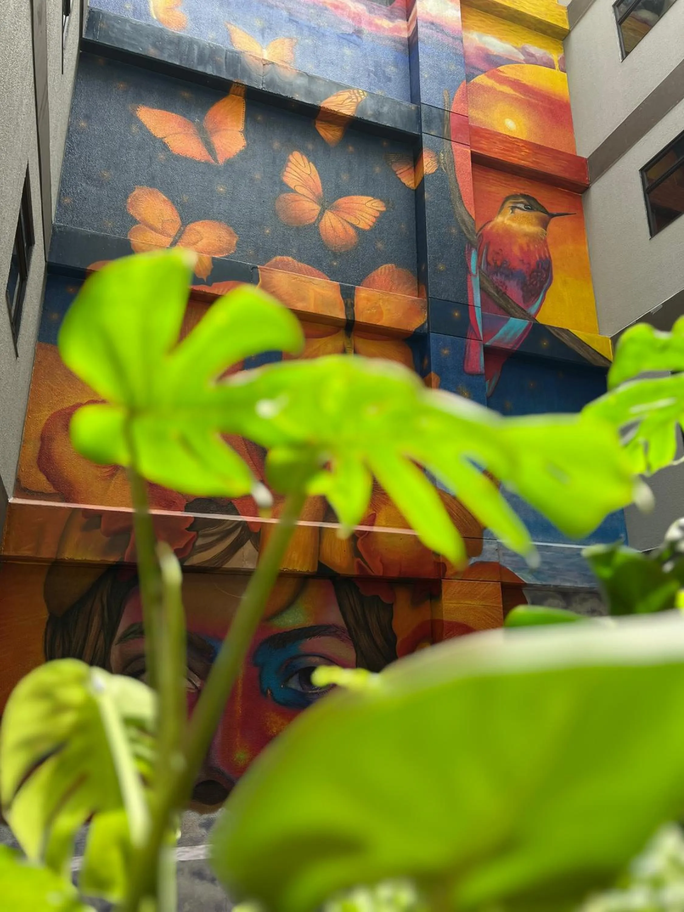 Day in Los Patios Cool Living