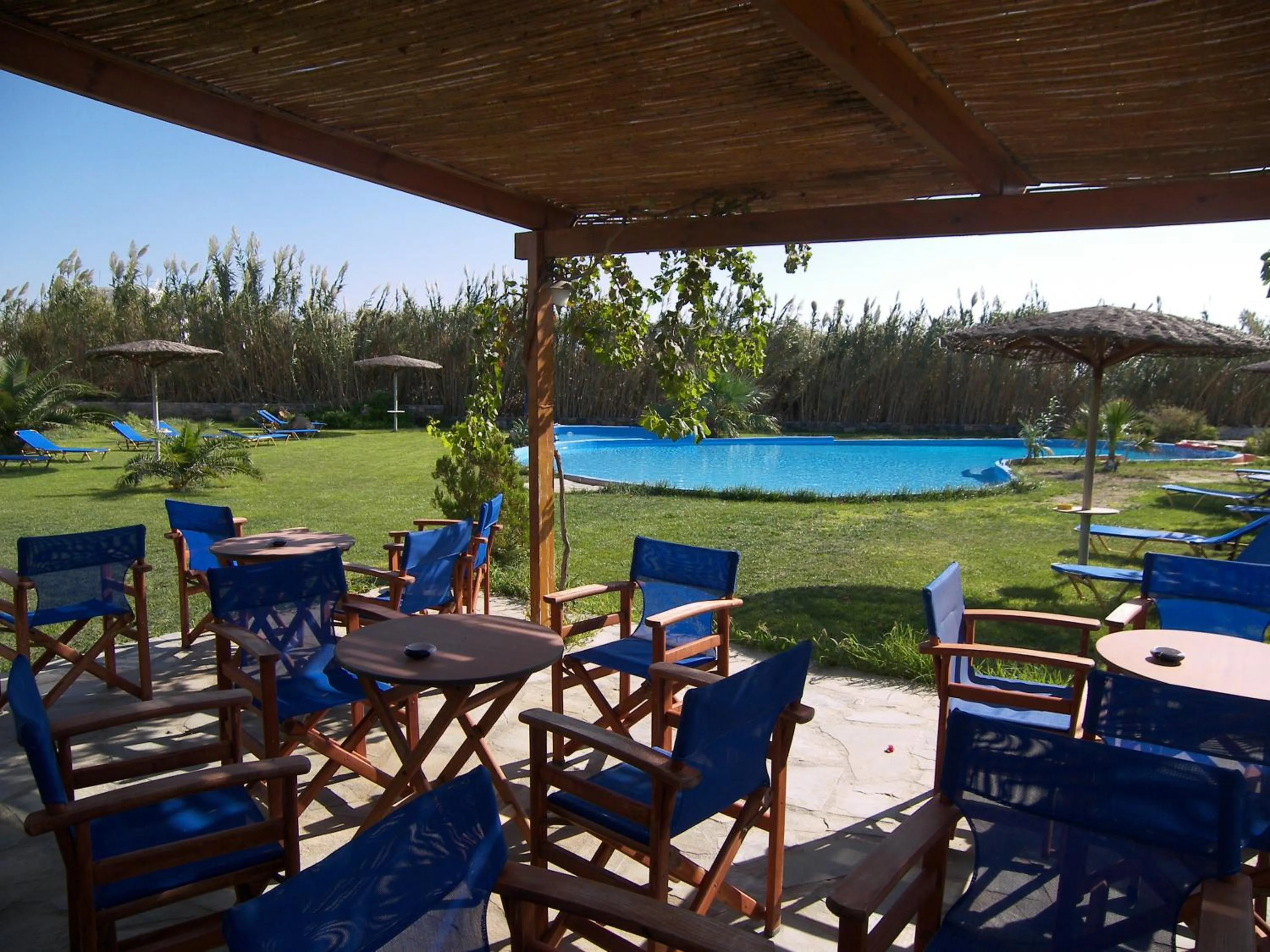 Lounge or bar in Colosseo Star