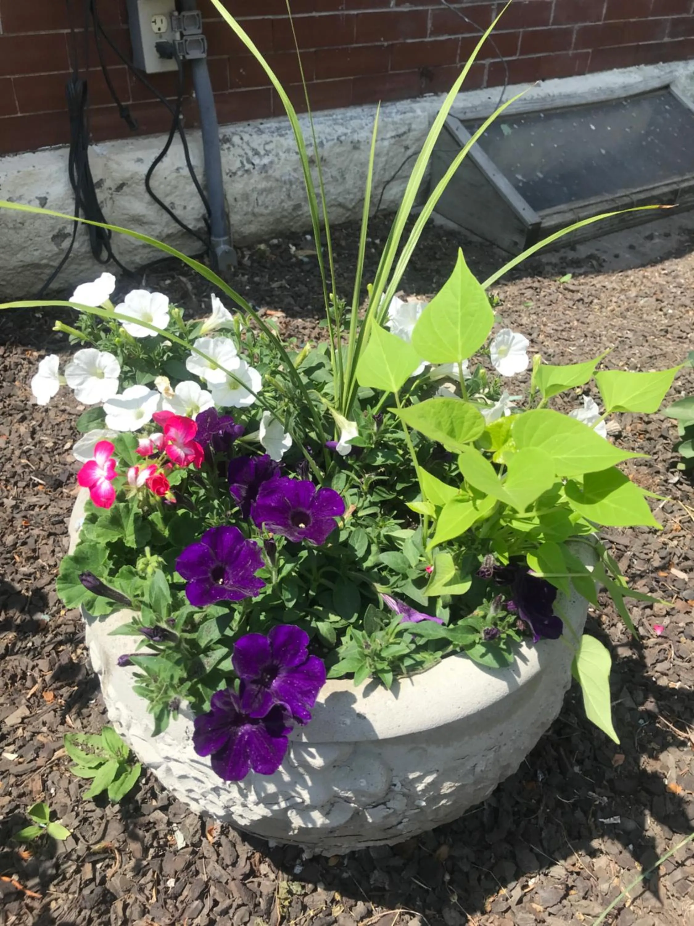 Garden in The Nauvoo Grand Bed & Breakfast