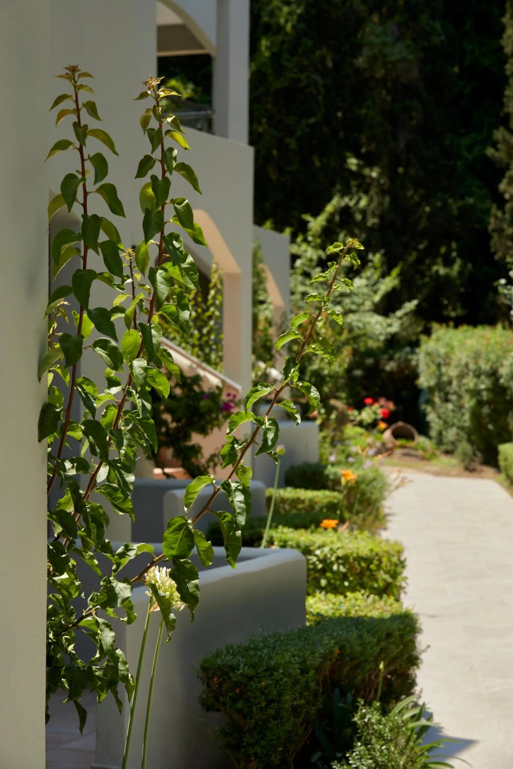 Garden in Rhodes Bay Hotel & Spa