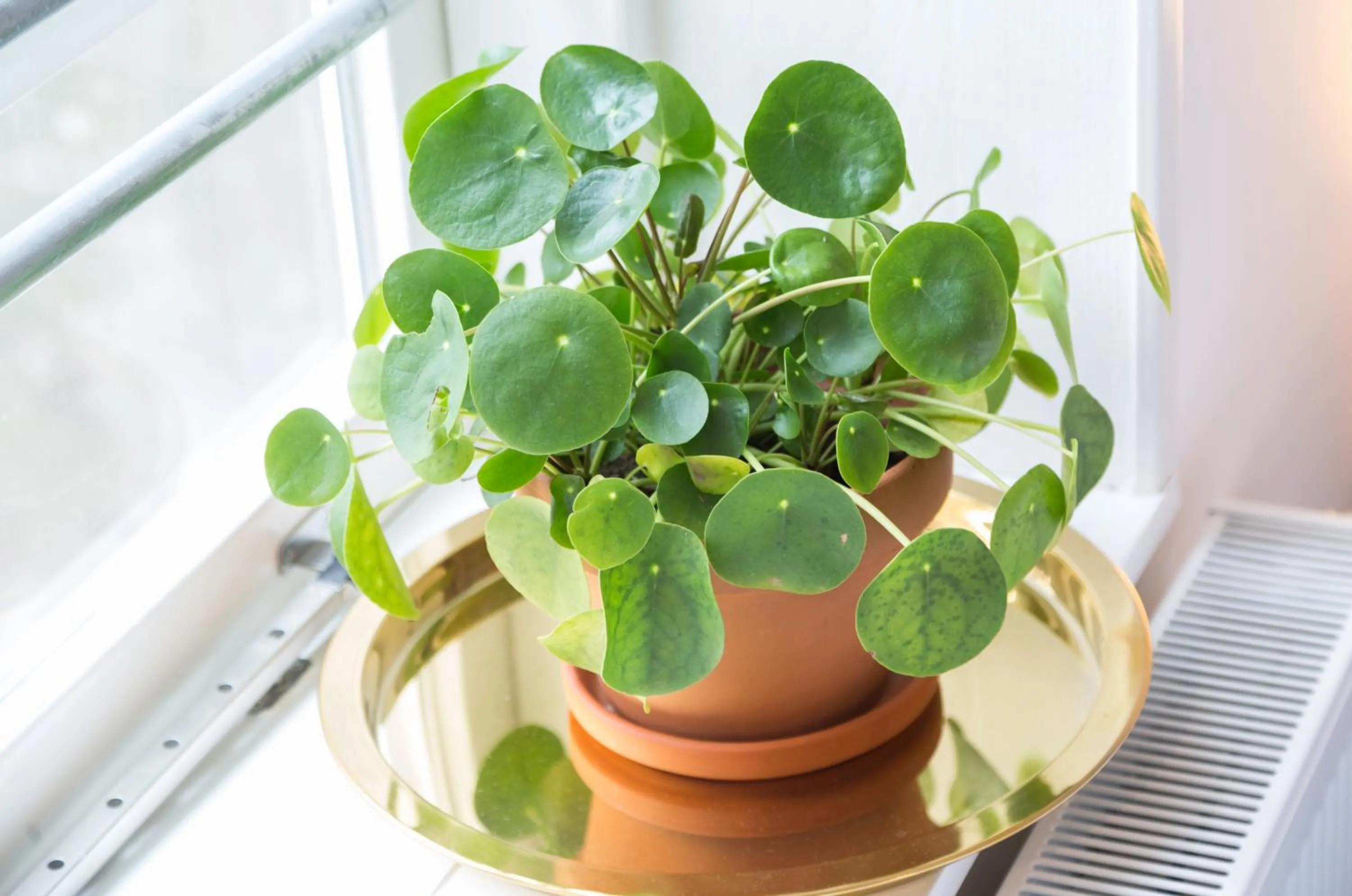 Decorative detail in Hotel Zilt Studio's