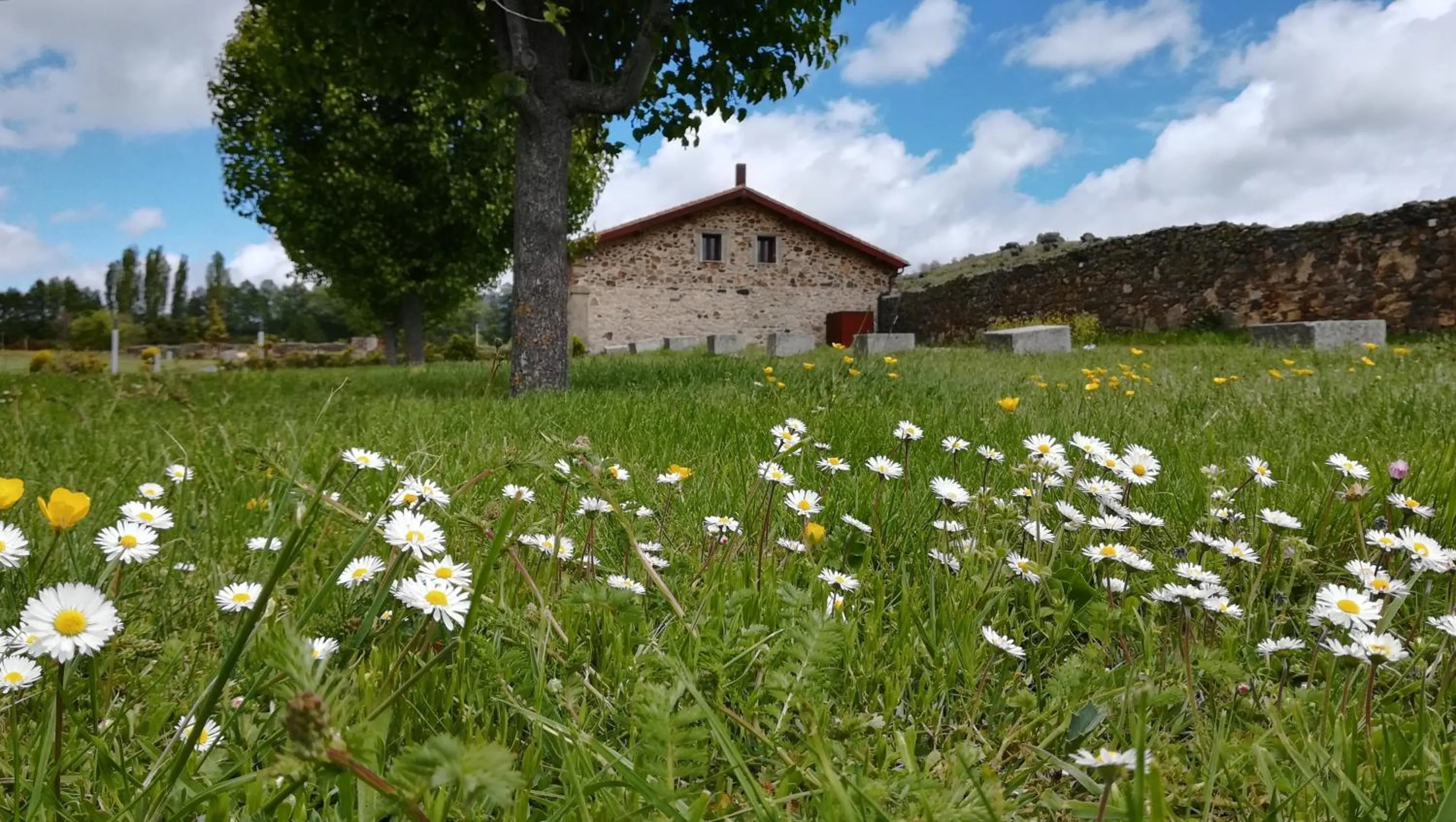 Spring in Izan Puerta de Gredos