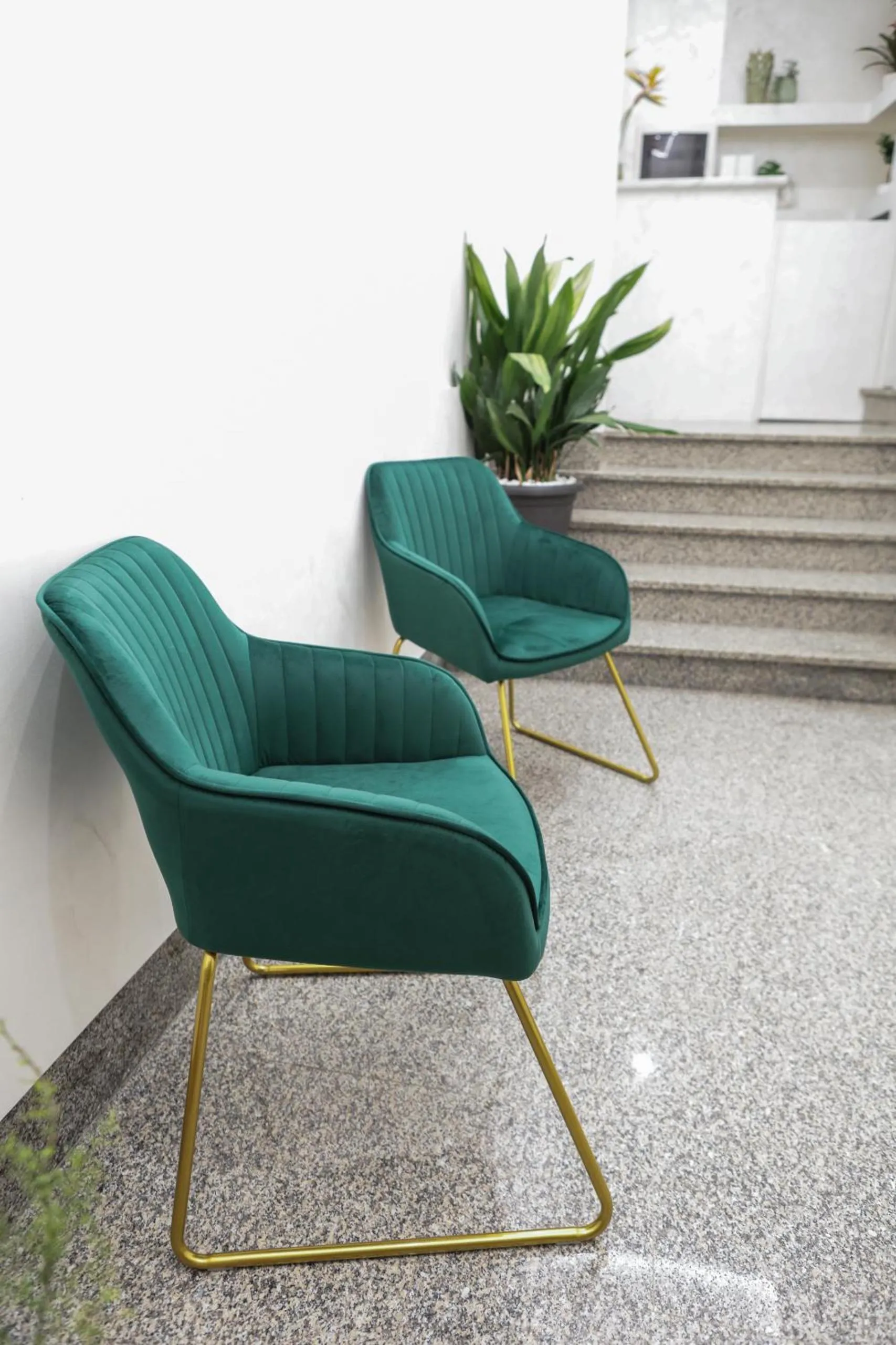 Lobby or reception in GREEN - Bed and Breakfast a Castrovillari