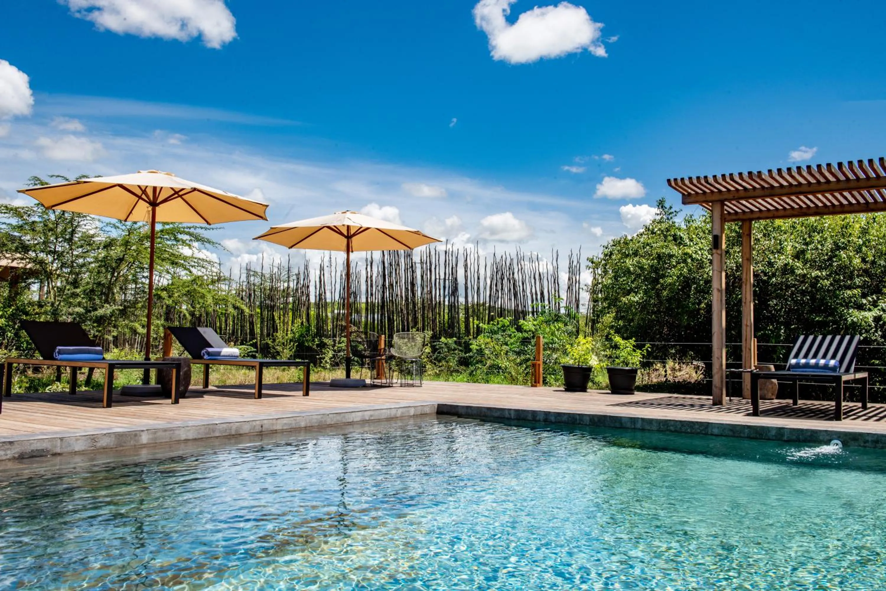 Swimming pool in JW Marriott Masai Mara Lodge