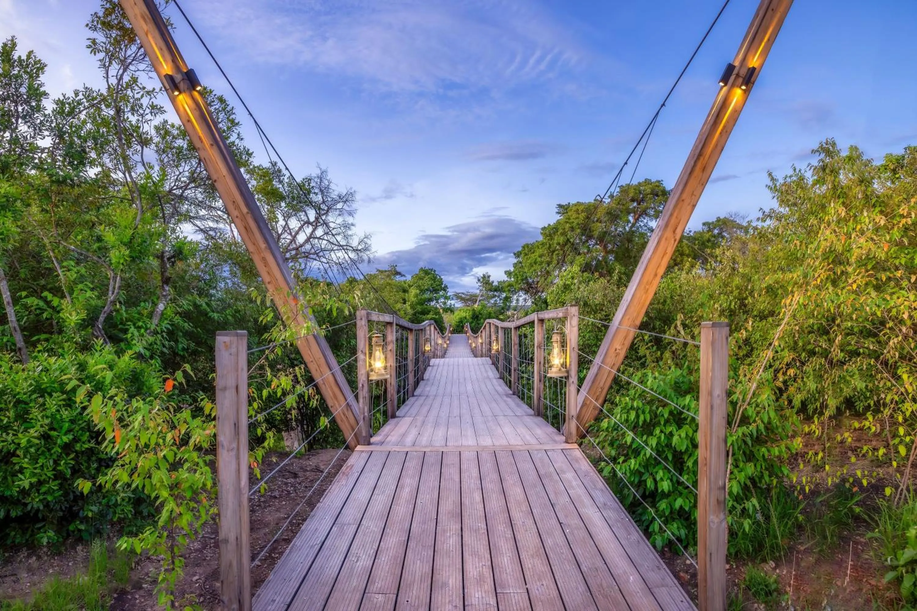 View (from property/room) in JW Marriott Masai Mara Lodge