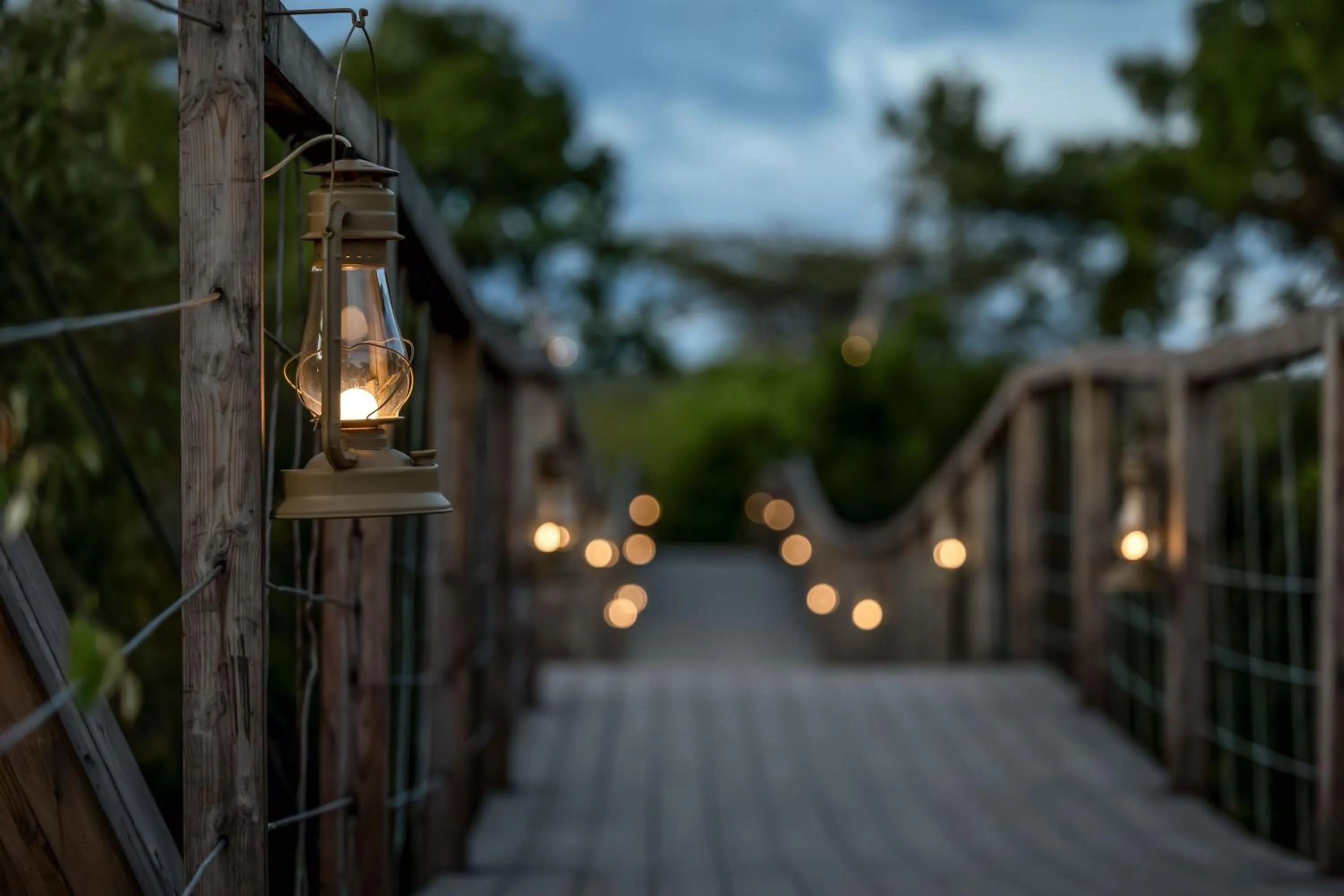 View (from property/room) in JW Marriott Masai Mara Lodge