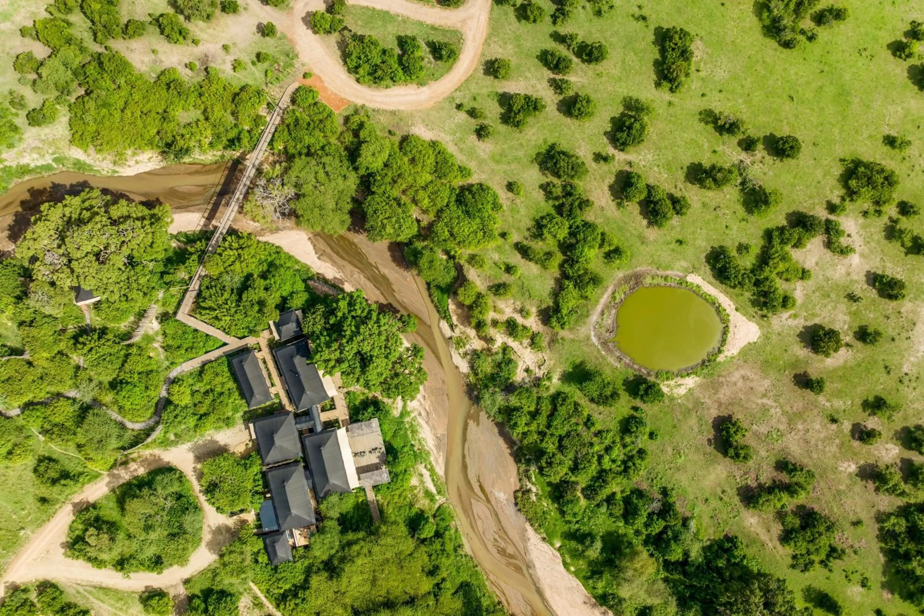 View (from property/room) in JW Marriott Masai Mara Lodge