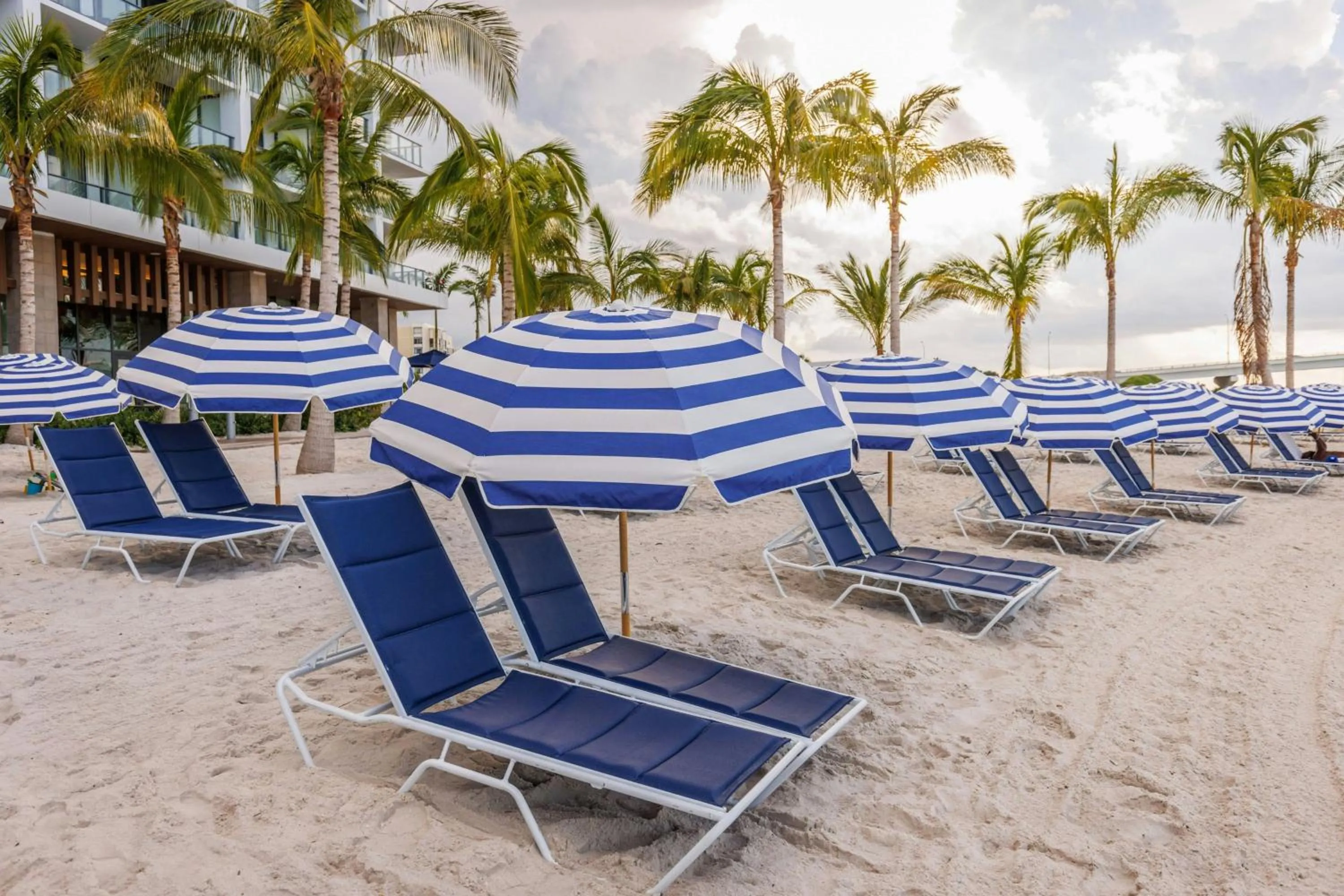 Beach in JW Marriott Clearwater Beach Resort & Spa