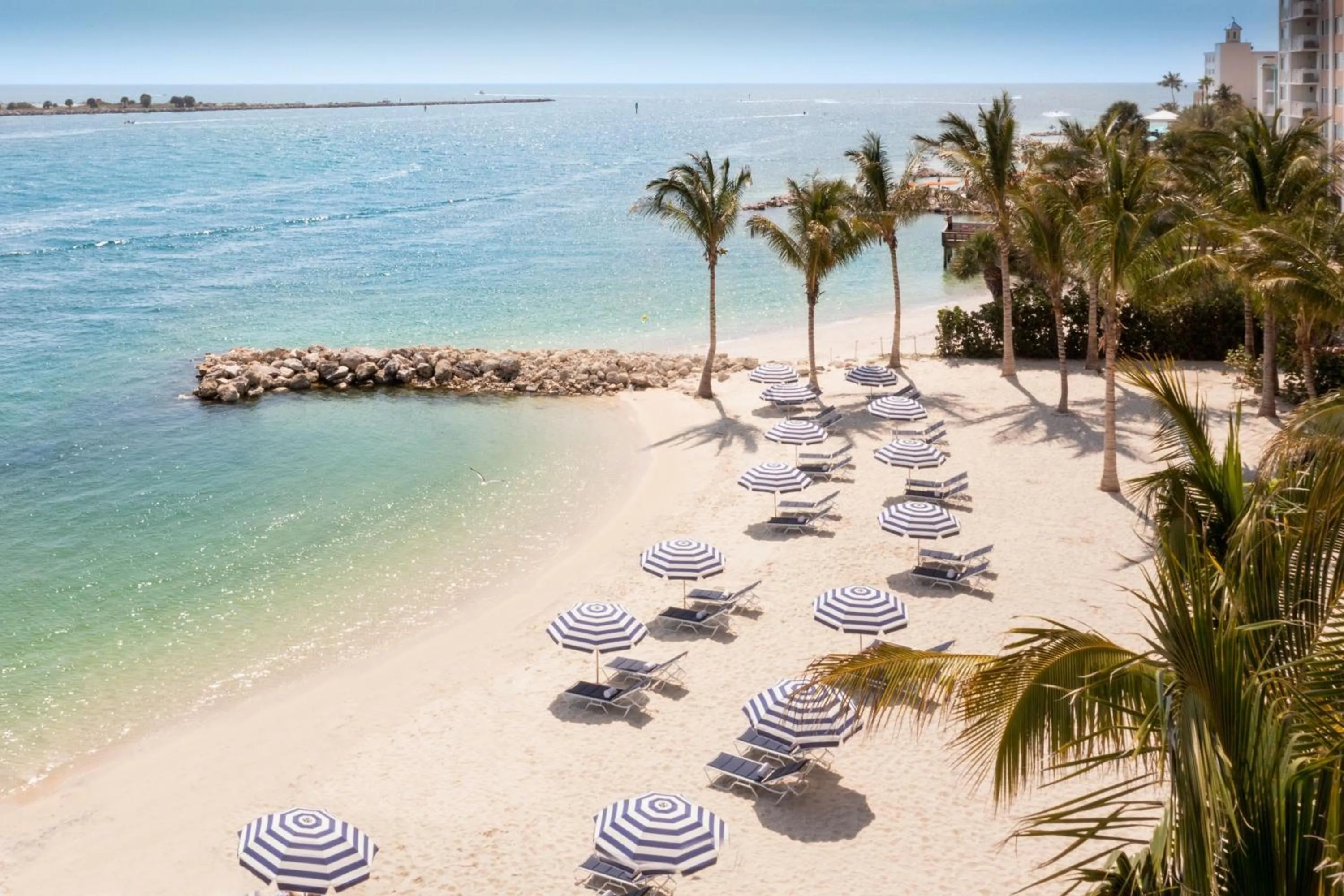 Beach in JW Marriott Clearwater Beach Resort & Spa