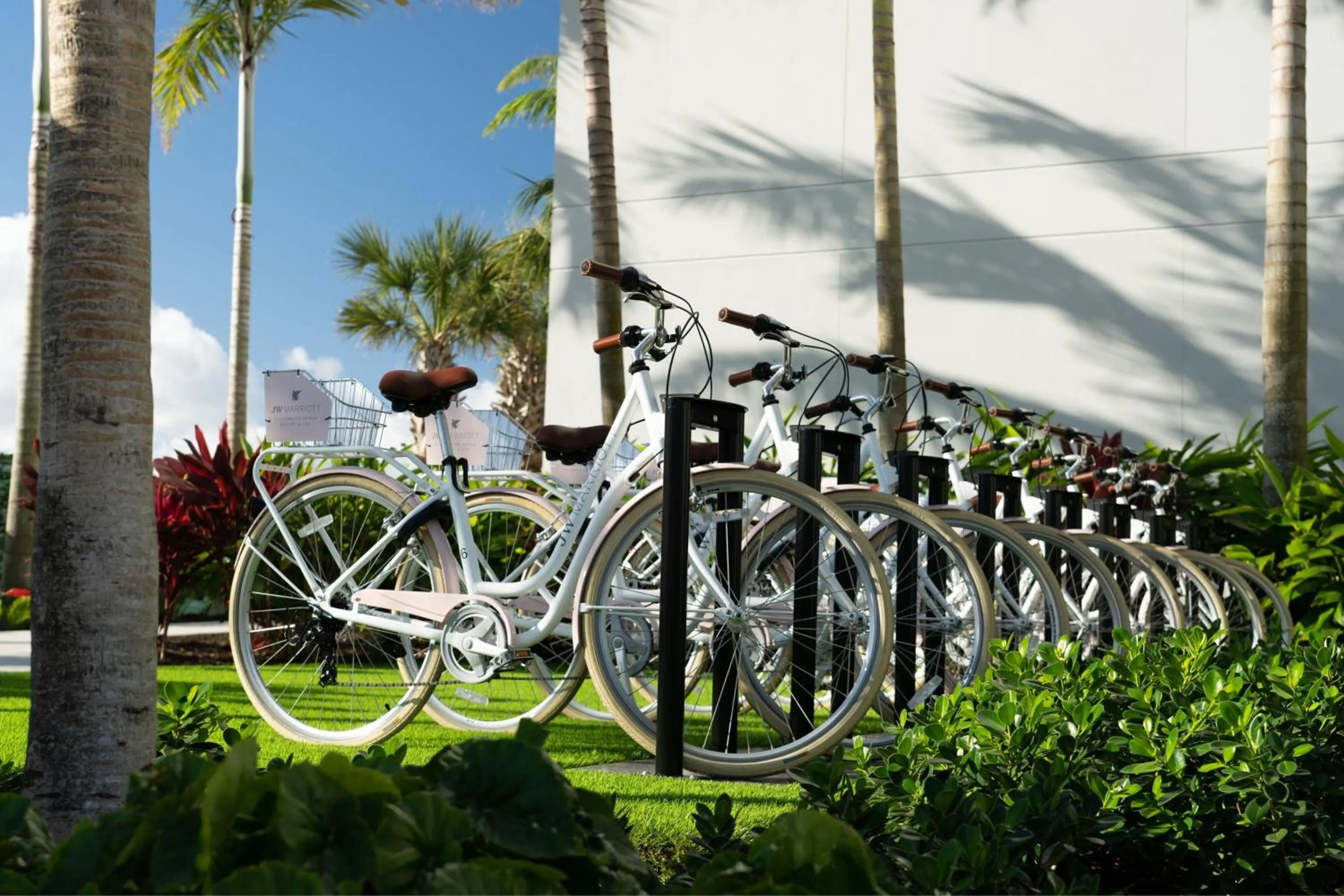 Other in JW Marriott Clearwater Beach Resort & Spa