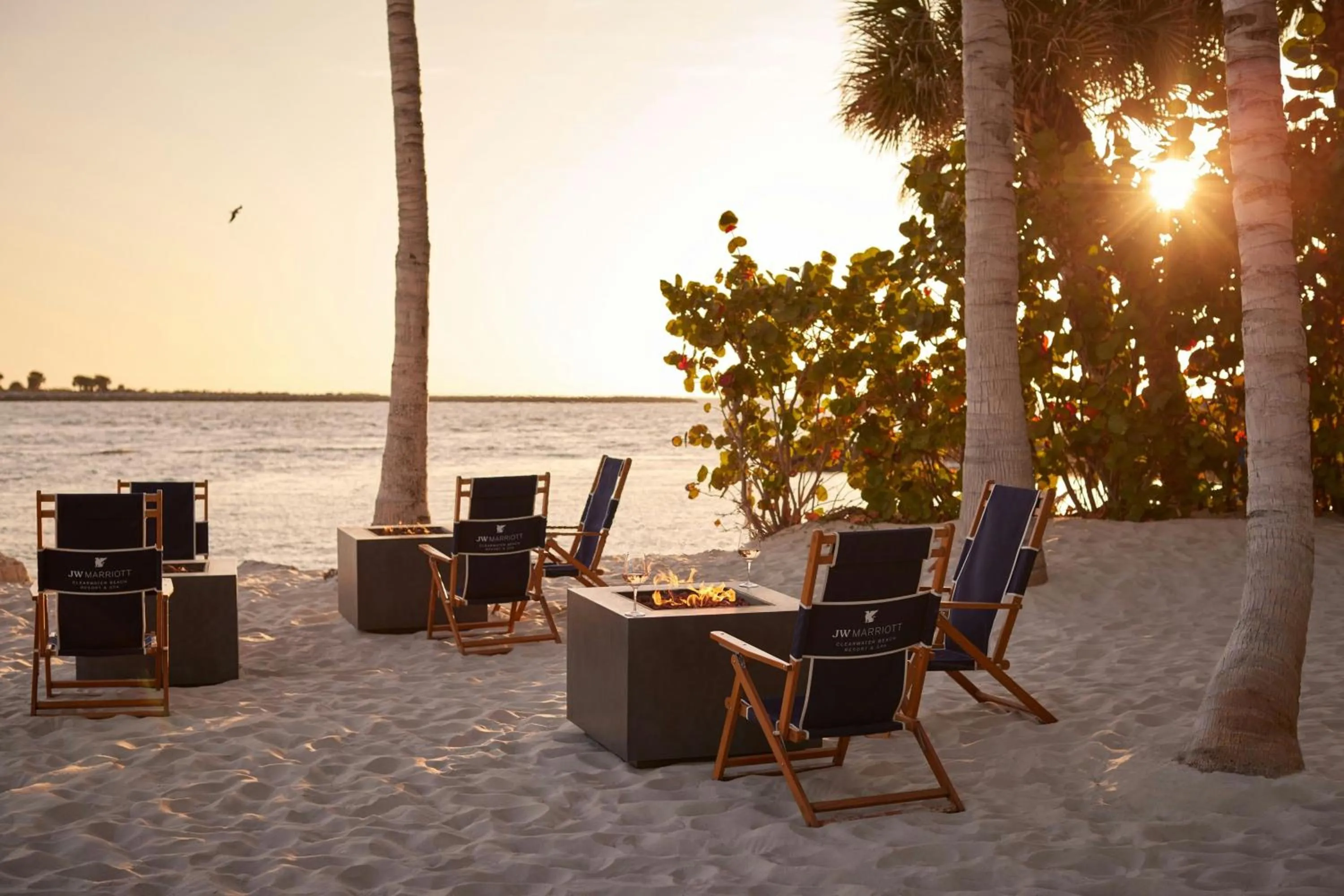 Beach in JW Marriott Clearwater Beach Resort & Spa