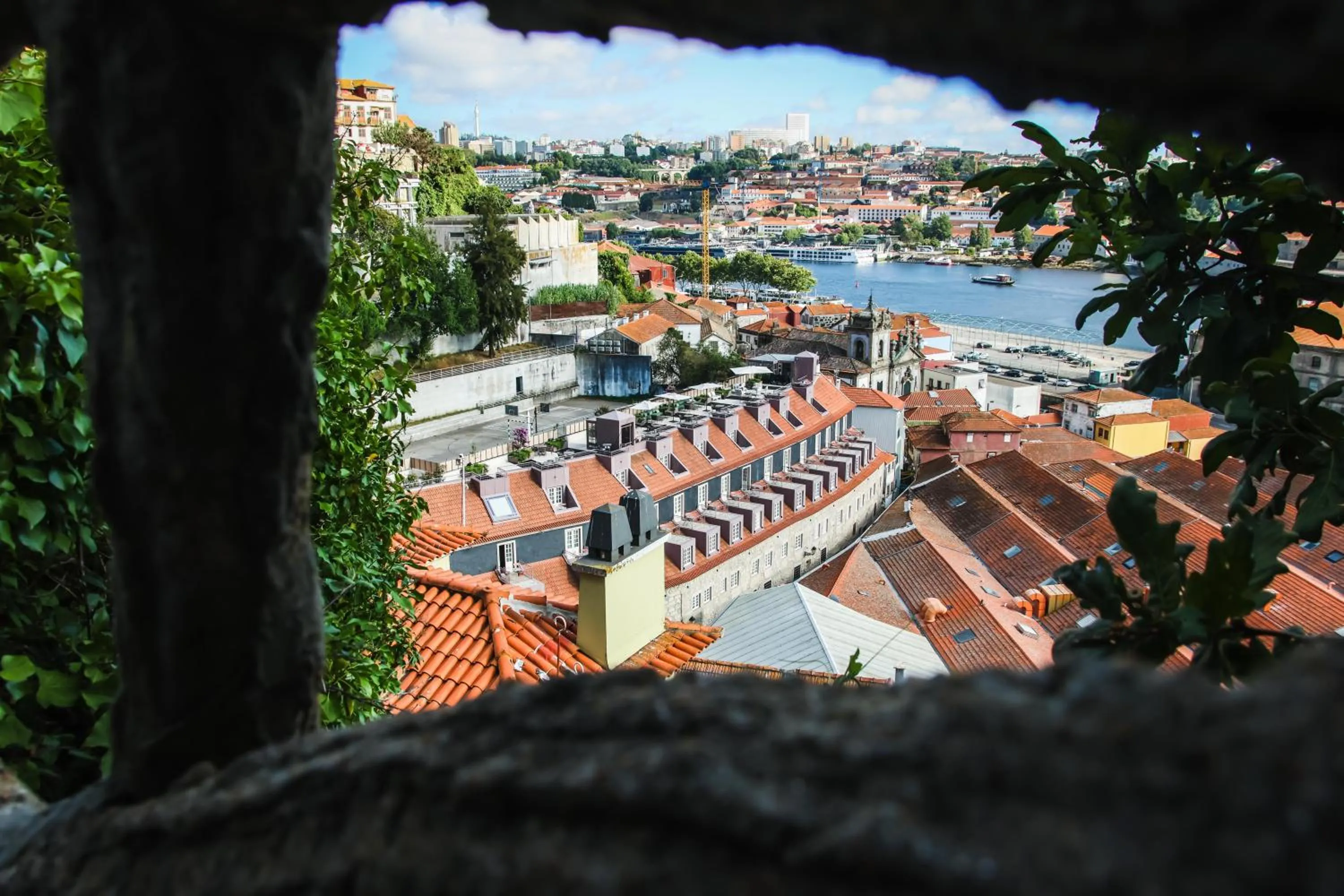 Property building in Timbre Virtudes