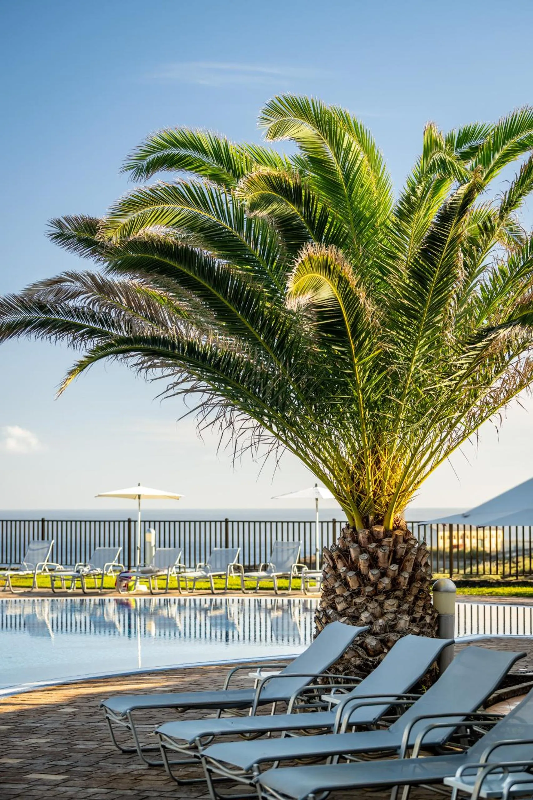Pool view in Luz Del Mar
