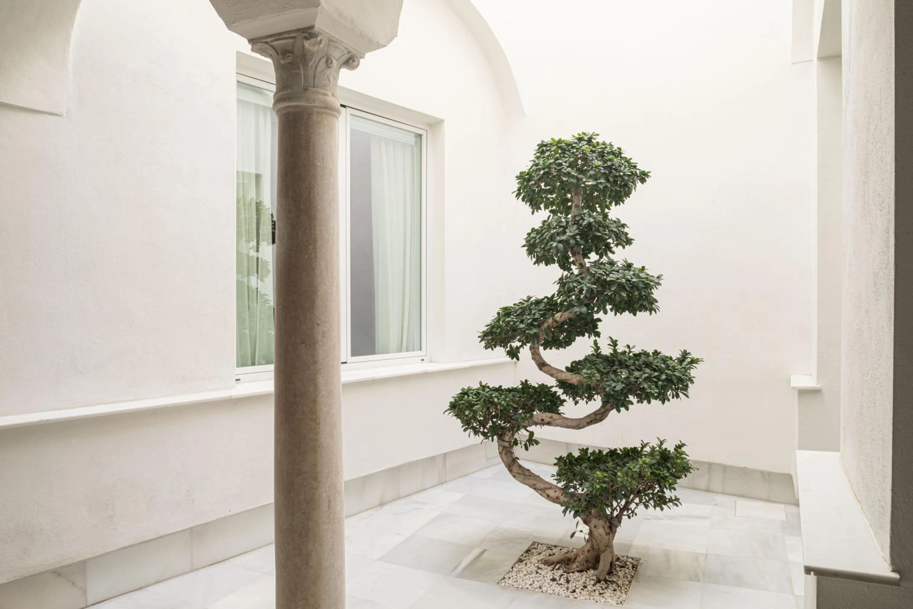 Lobby or reception in Mylu Suites by Puerta Catedral