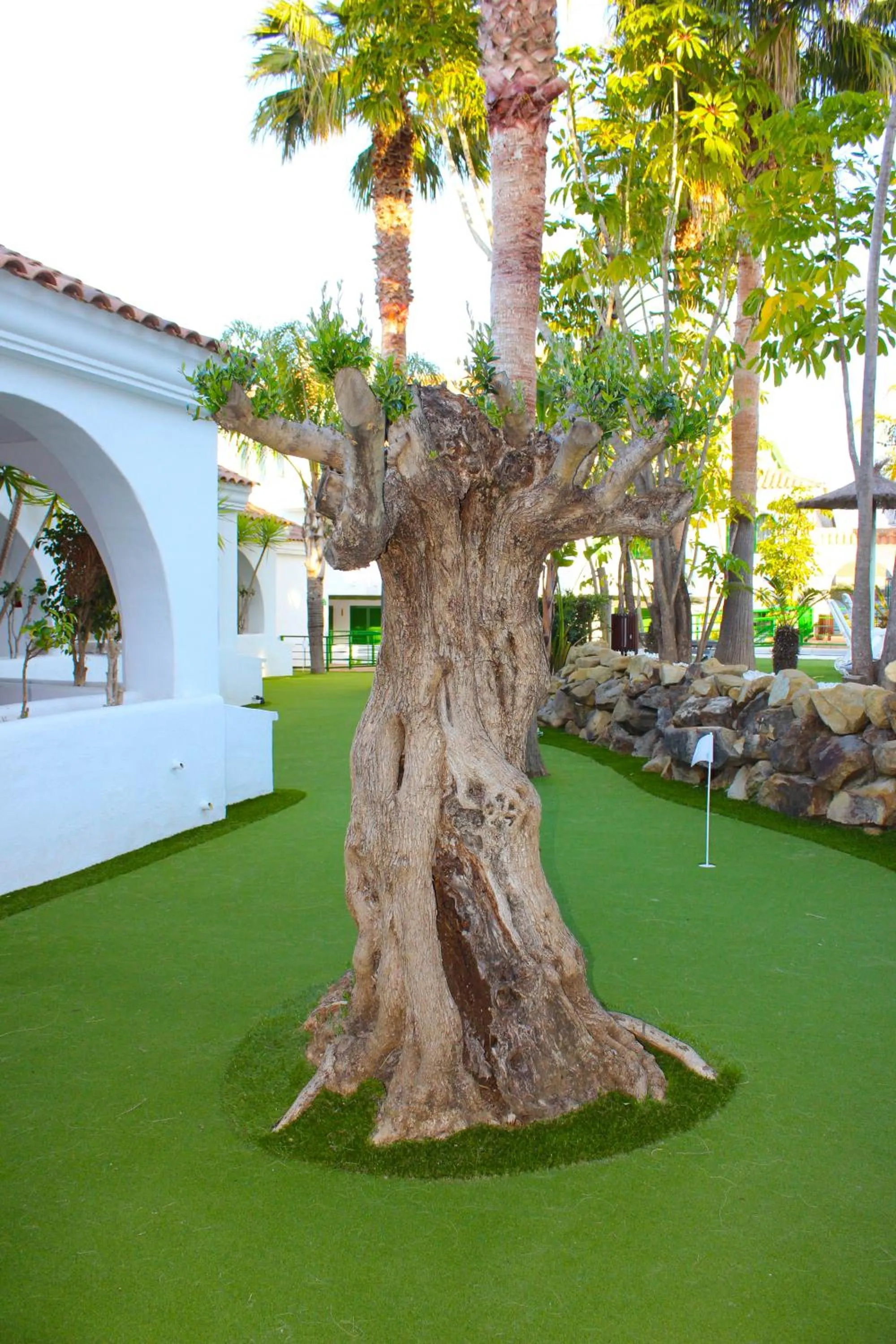 Garden in Hotel Apartamentos Manilva Sun