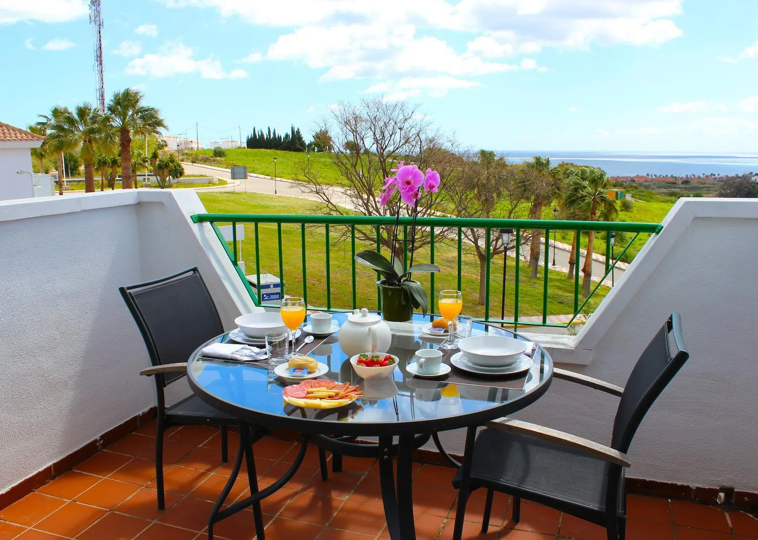 Natural landscape in Hotel Apartamentos Manilva Sun