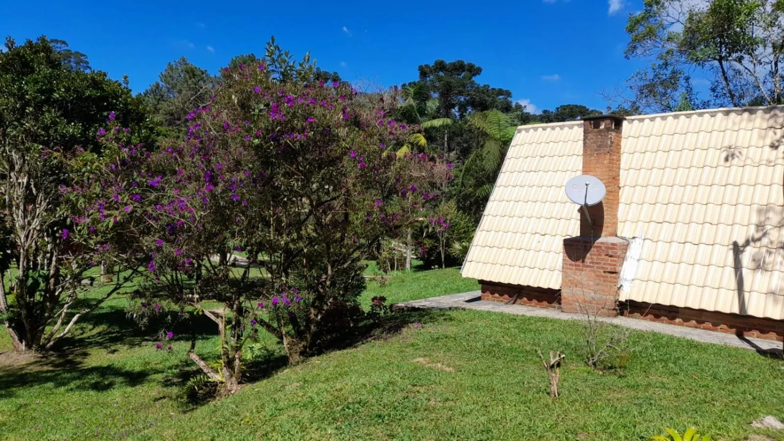 Natural landscape in Pousada Bosque do Visconde