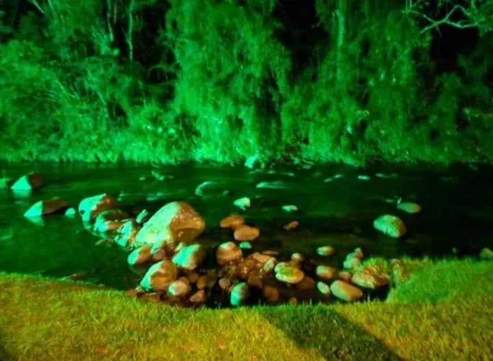 Pousada Bosque do Visconde