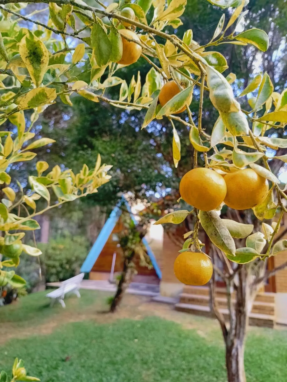 Pousada Bosque do Visconde