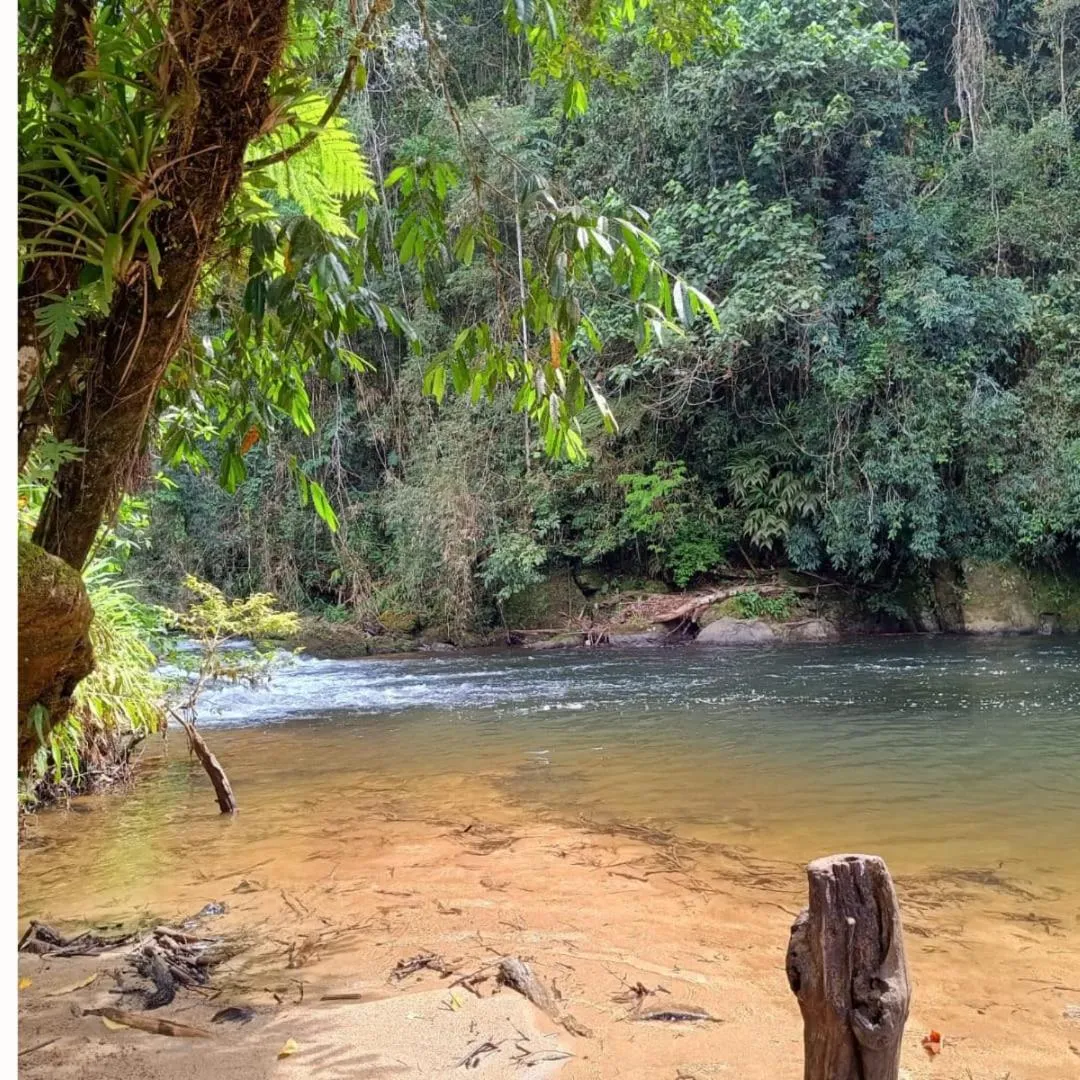 Pousada Bosque do Visconde