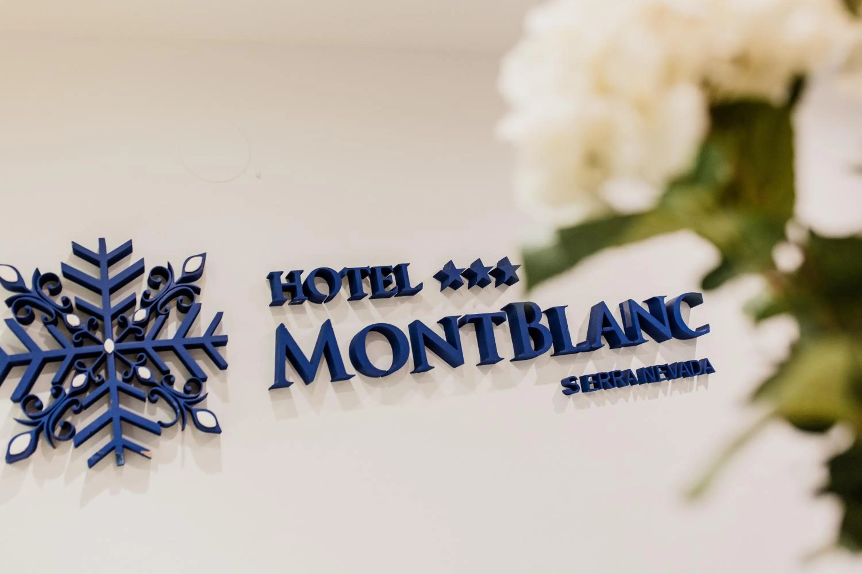 Property logo or sign in Mont Blanc
