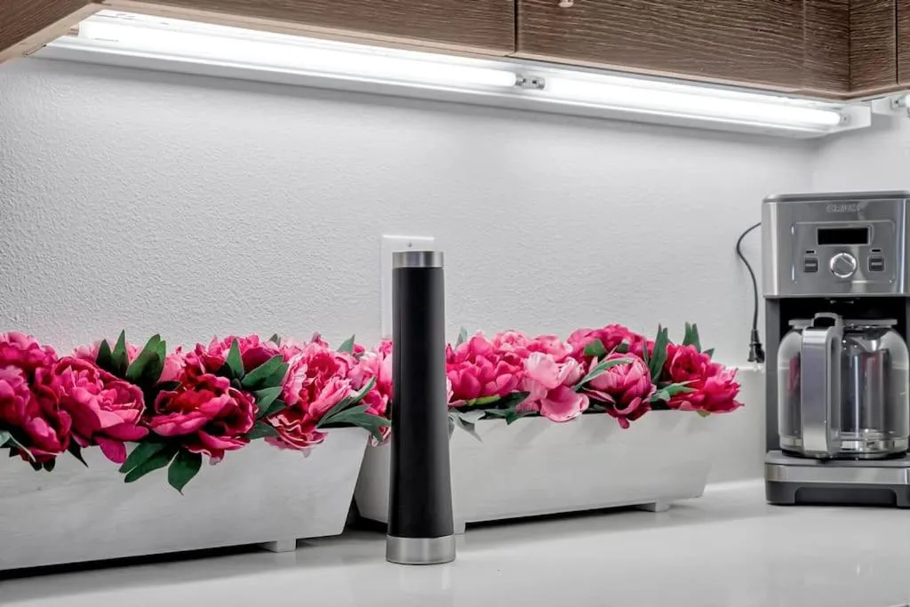 5 Heart of Santa Monica apartment