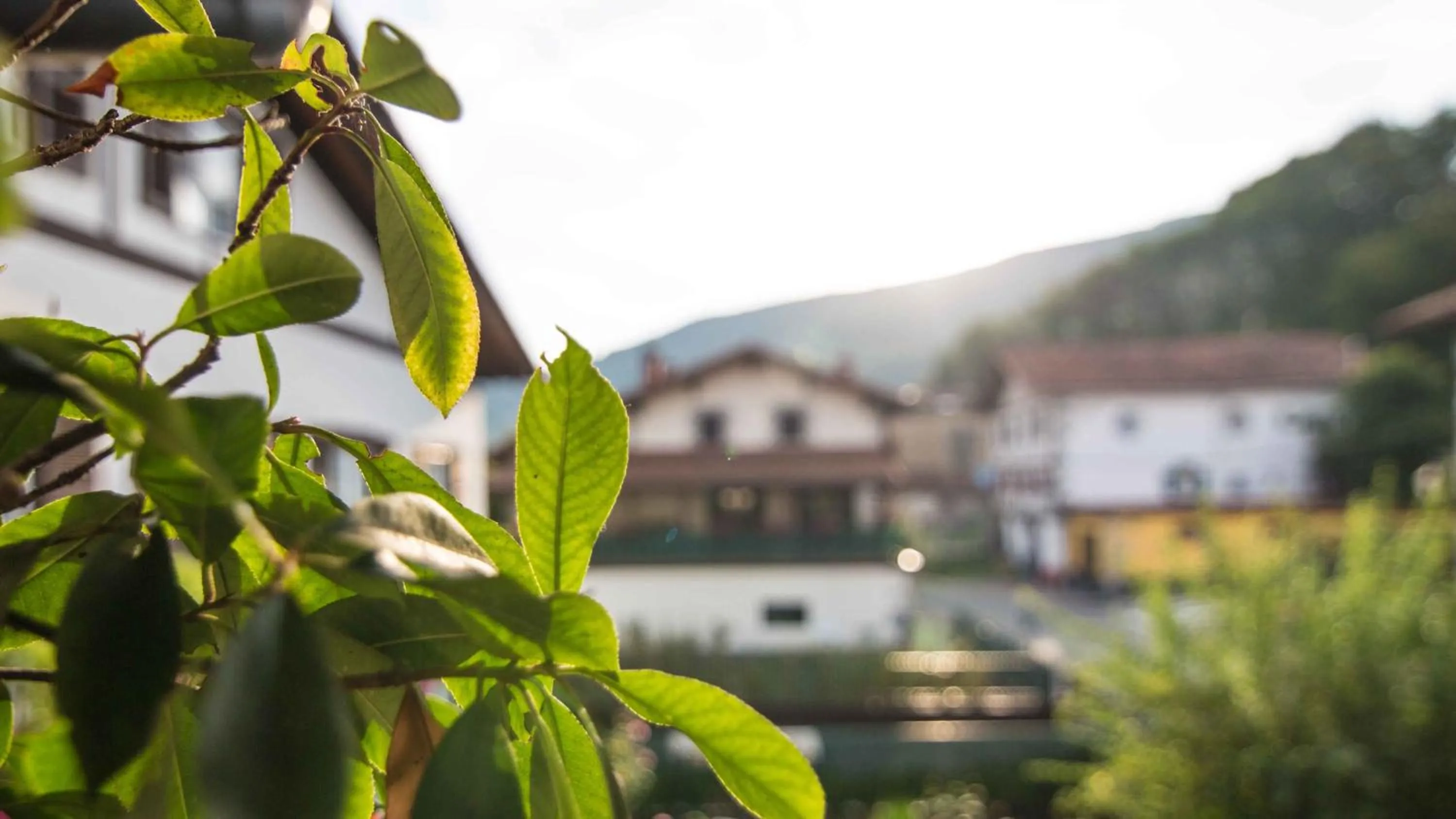 Area and facilities in Hotel SPA Atxaspi