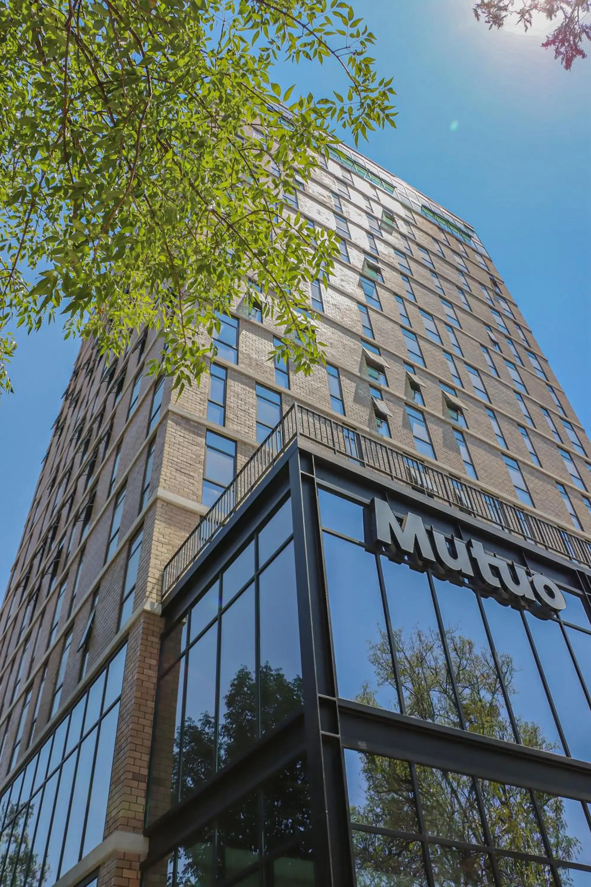 Mutuo Vive Mutuo Vive