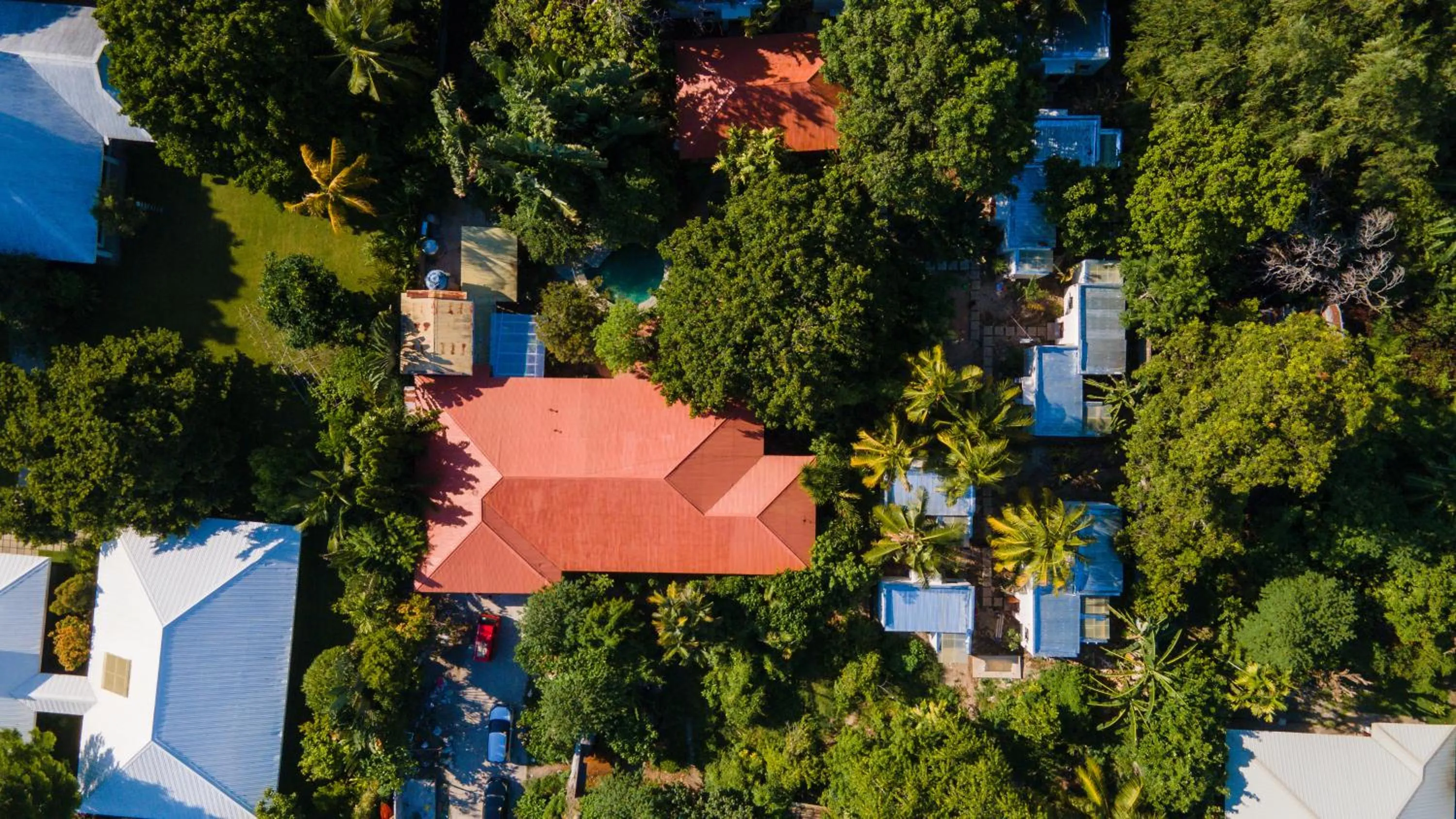 Bird's eye view in Mad Monkey Dumaguete