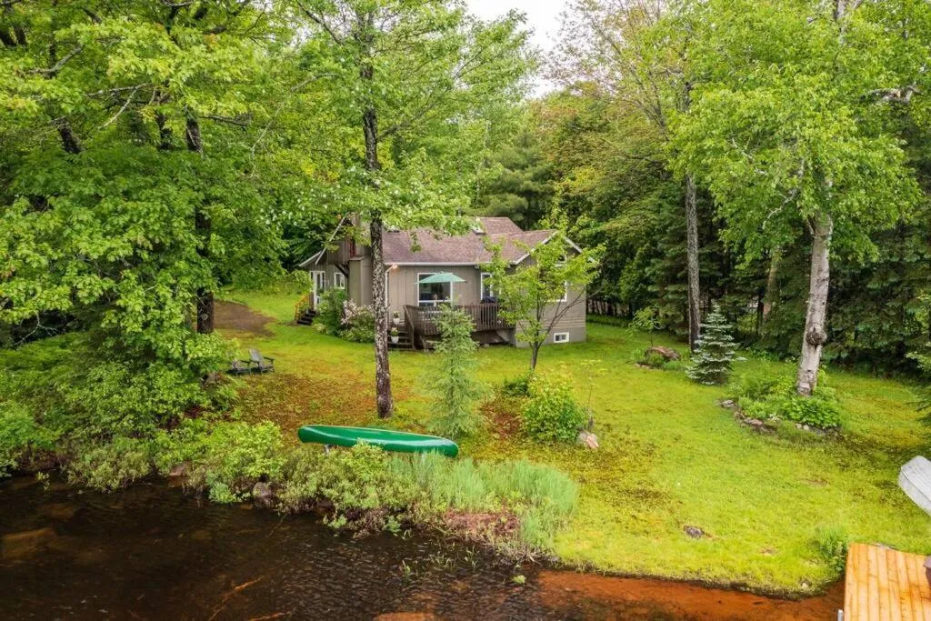 Bear Essentials Hideaway