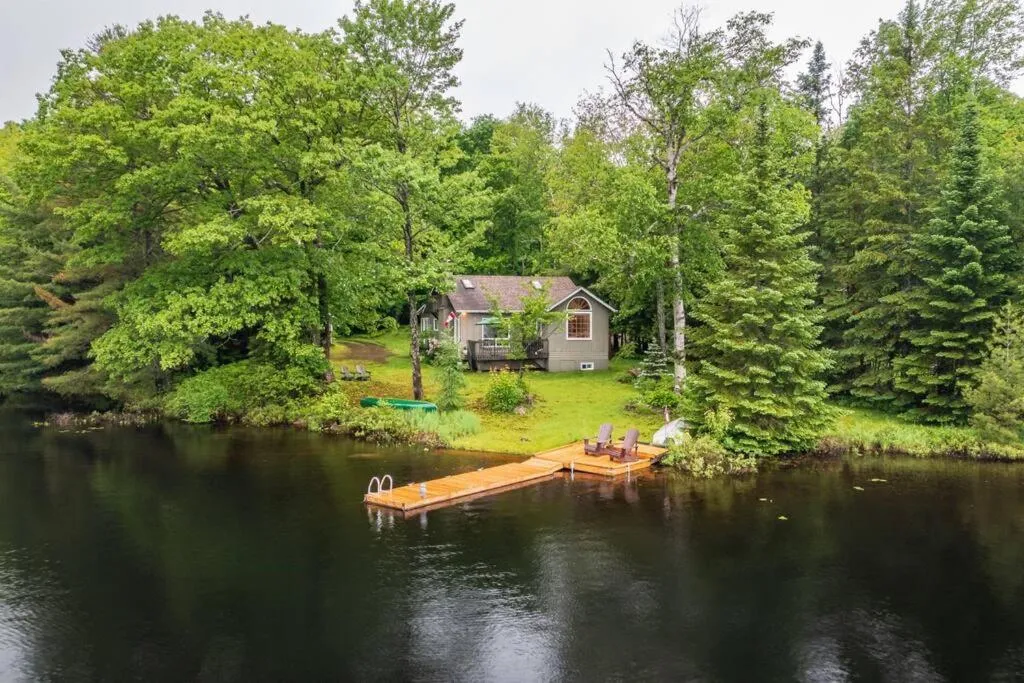 Bear Essentials Hideaway