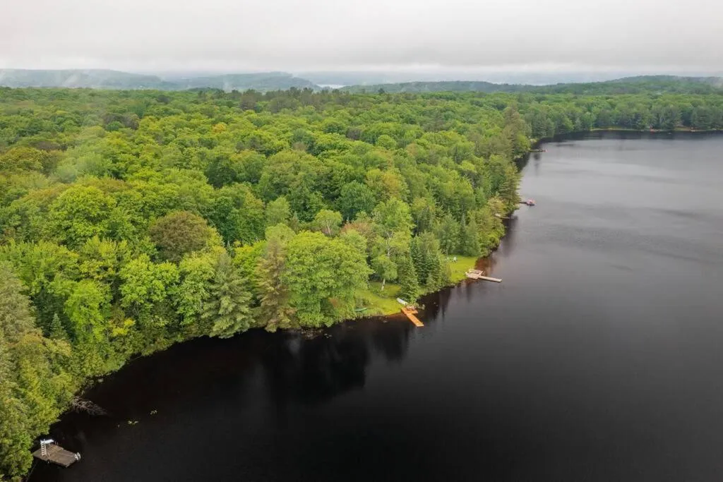 Bear Essentials Hideaway