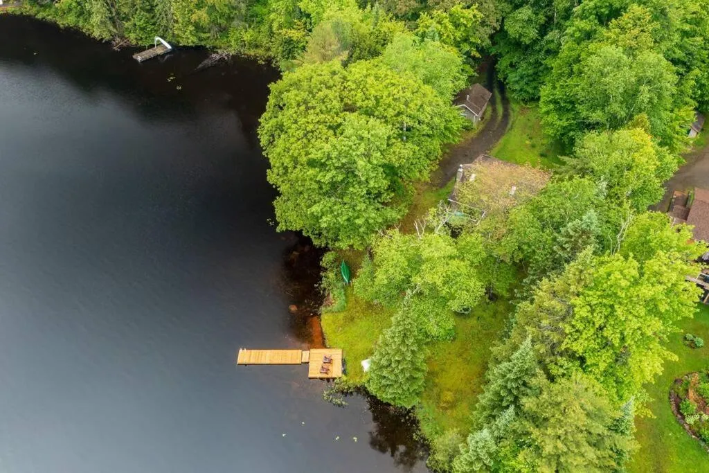 Bear Essentials Hideaway