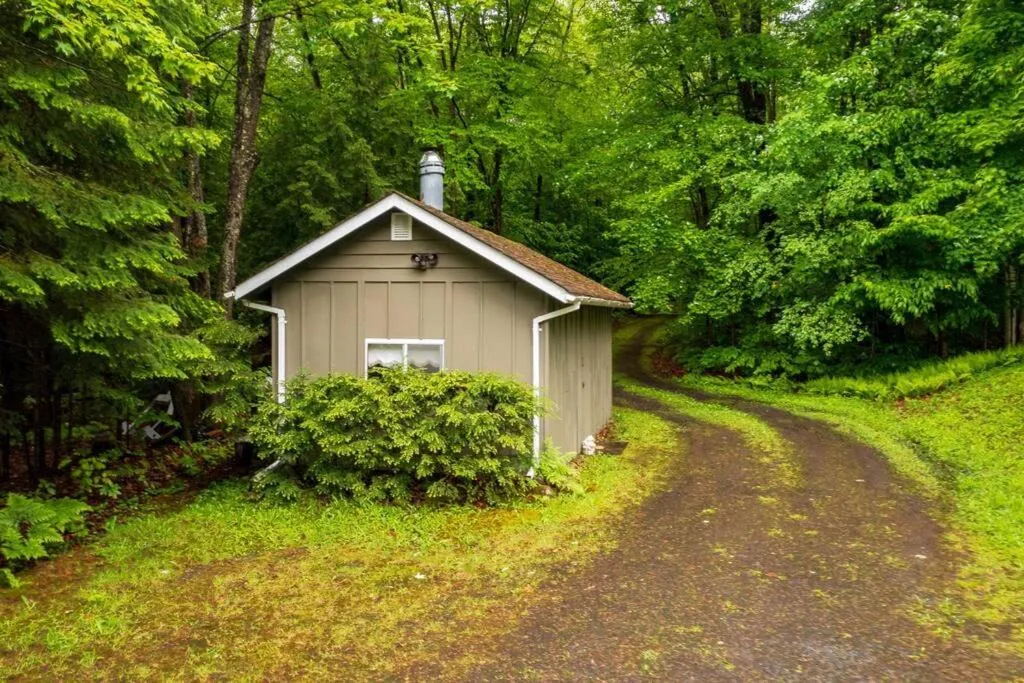 Bear Essentials Hideaway