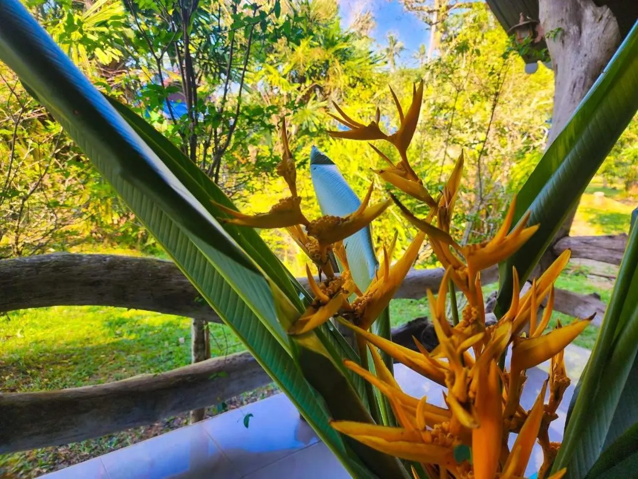 Garden in Banmae Resort Kohchang