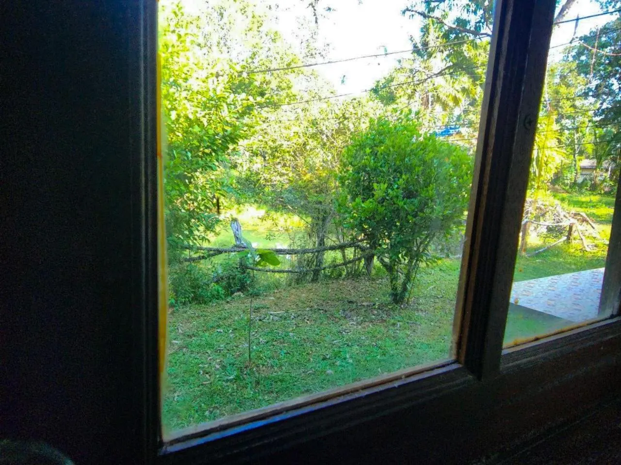 Garden view in Banmae Resort Kohchang